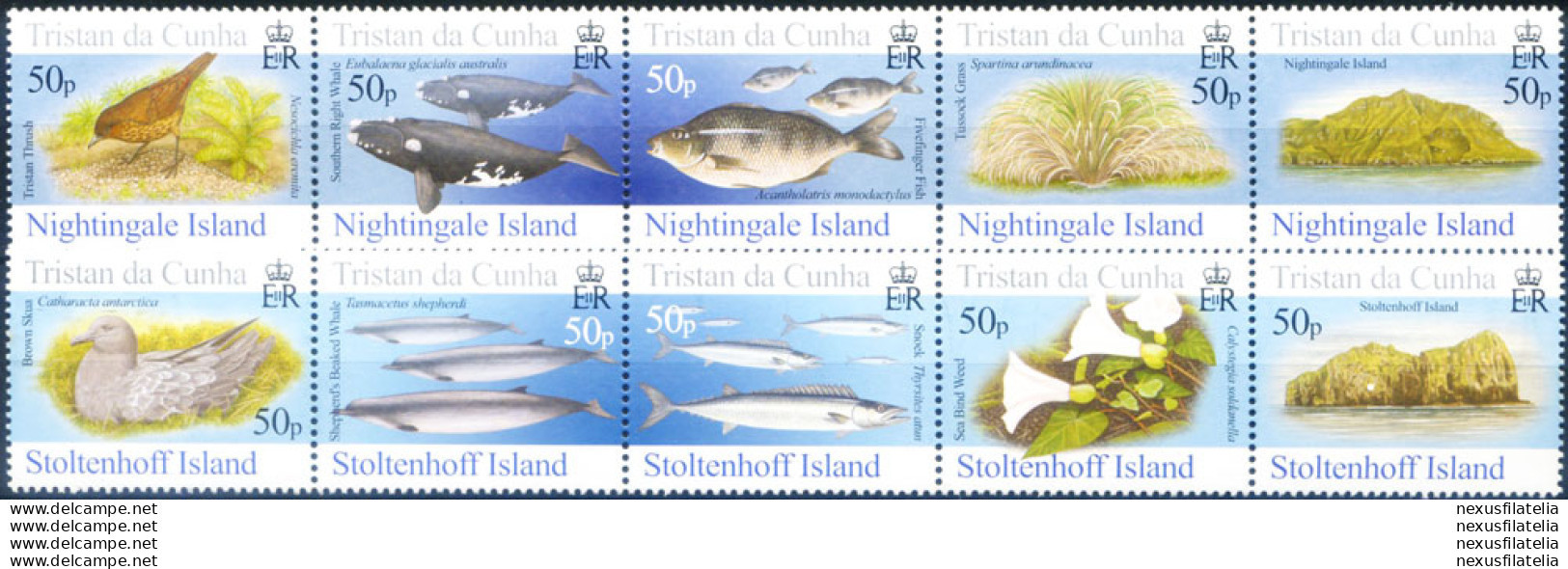 Isole Minori 2006. - Tristan Da Cunha