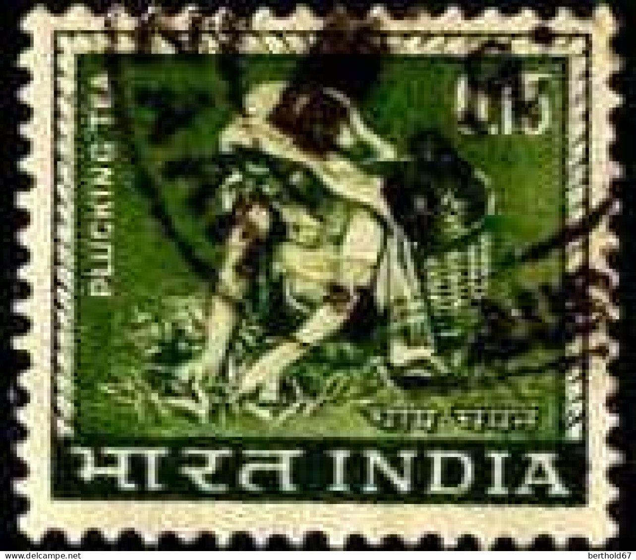 Inde Poste Obl Yv: 193 Mi:393 Plucking Tea (Beau Cachet Rond) - Usados