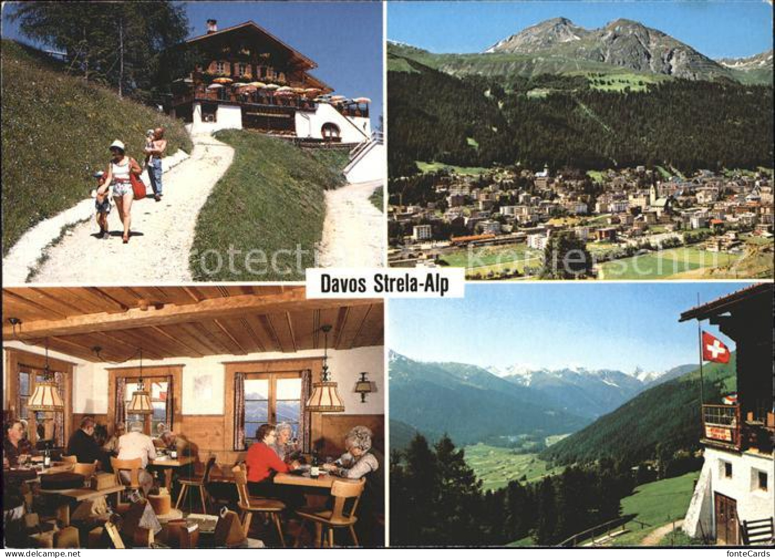 11865246 Davos GR Strela Alp Tinzenhorn Schatzalp Schiahoerner Davos Platz - Autres & Non Classés