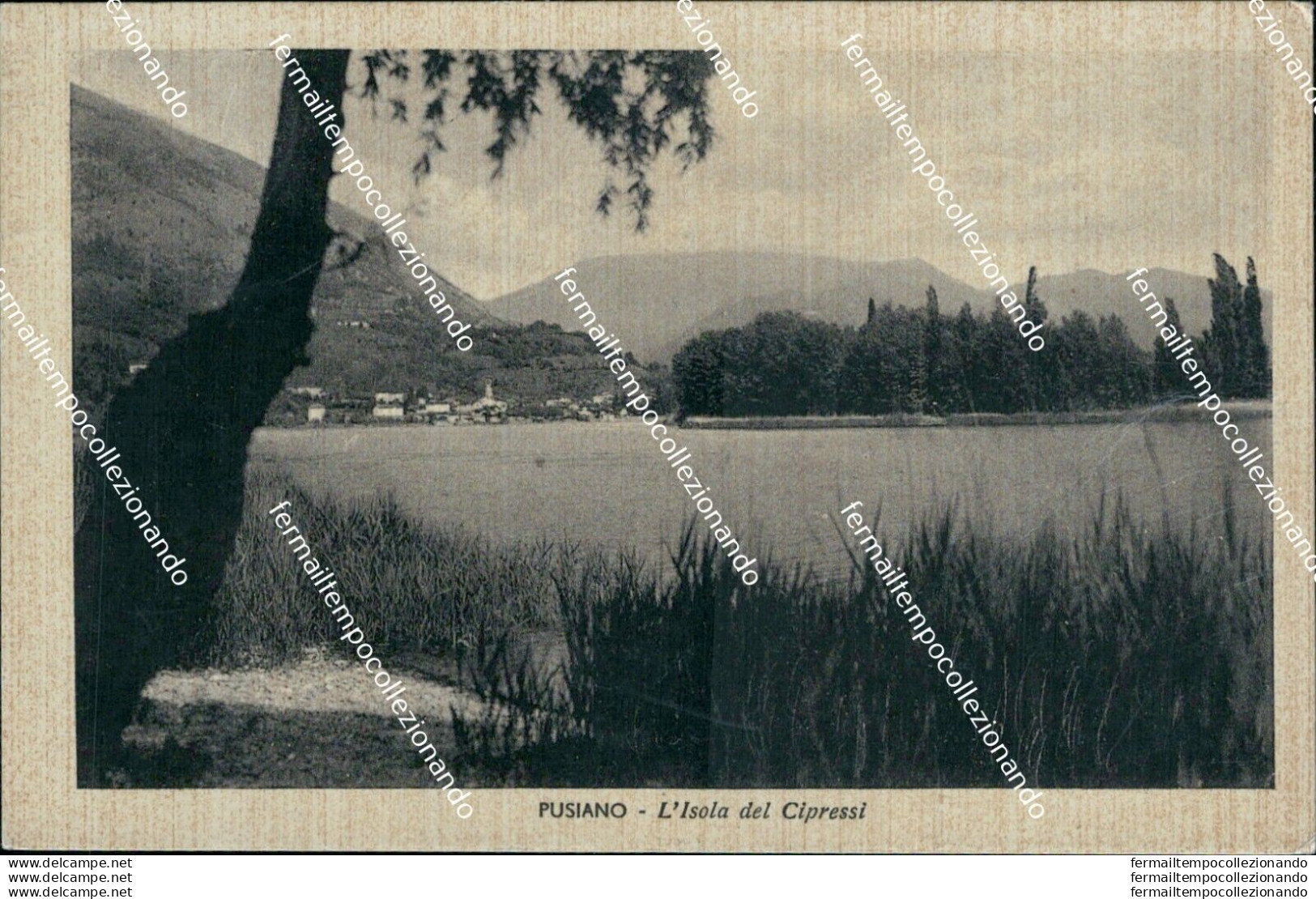 Bs34 Cartolina Pusiano L'isola Dei Cipressi  1941 Provincia Di Como - Rimini