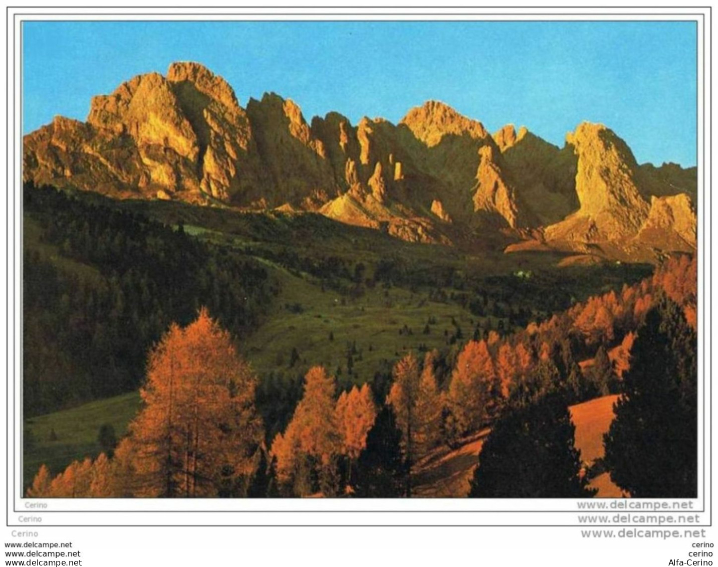 DOLOMITI (BL):  TRAMONTO  SUL  GRUPPO  DELLE  ODLE  -  CENNO  DI  PIEGA  -  PER  LA  SVIZZERA  -  FG - Escalade