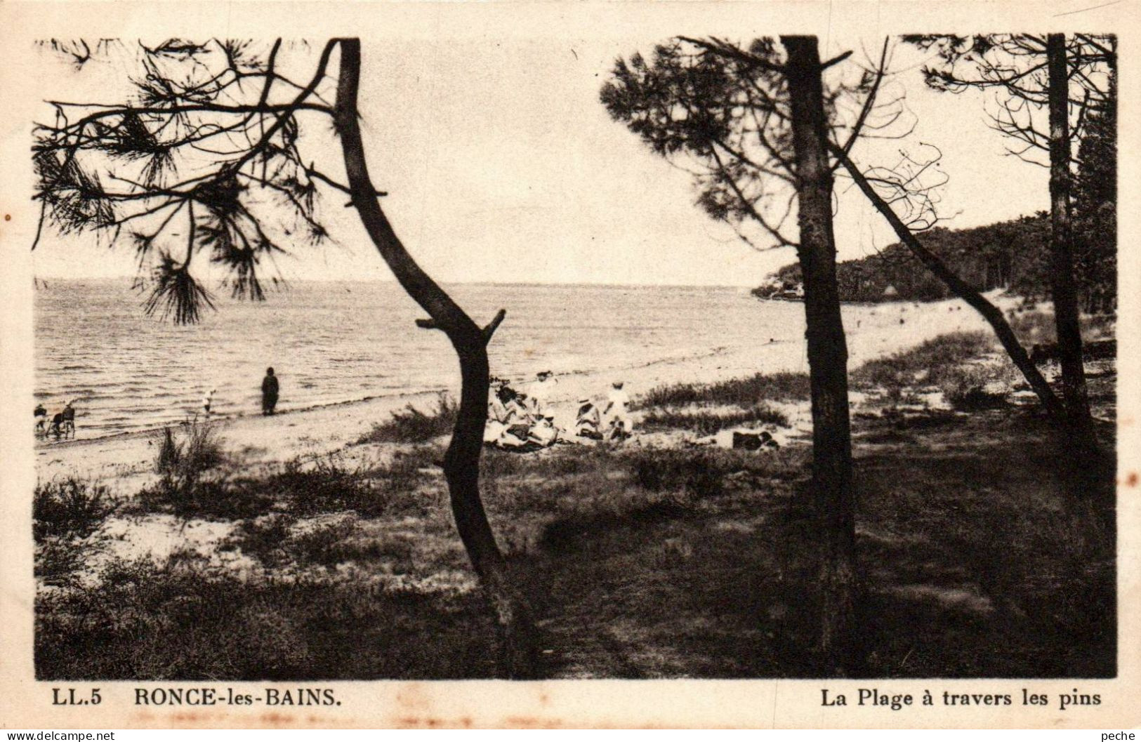 N°2565 W -cpa Ronce Les Bains -la Plage à Travers Les Pins- - Andere & Zonder Classificatie