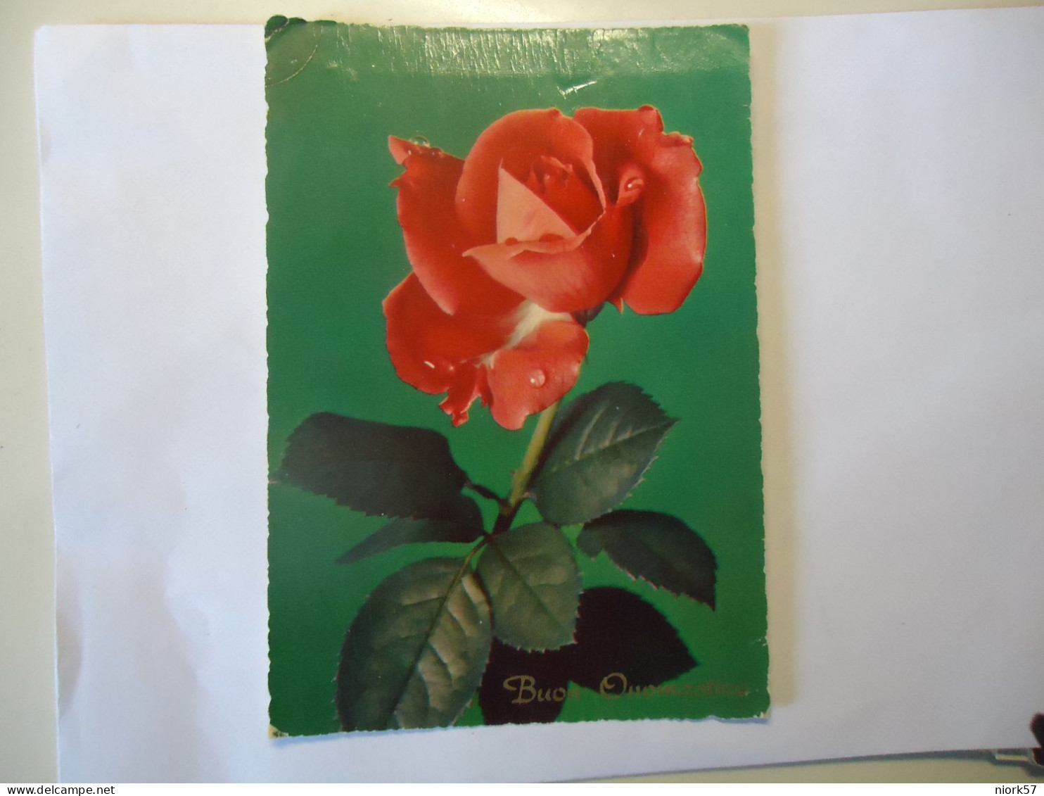 ITALY POSTCARDS ROSES 1978 - Other & Unclassified