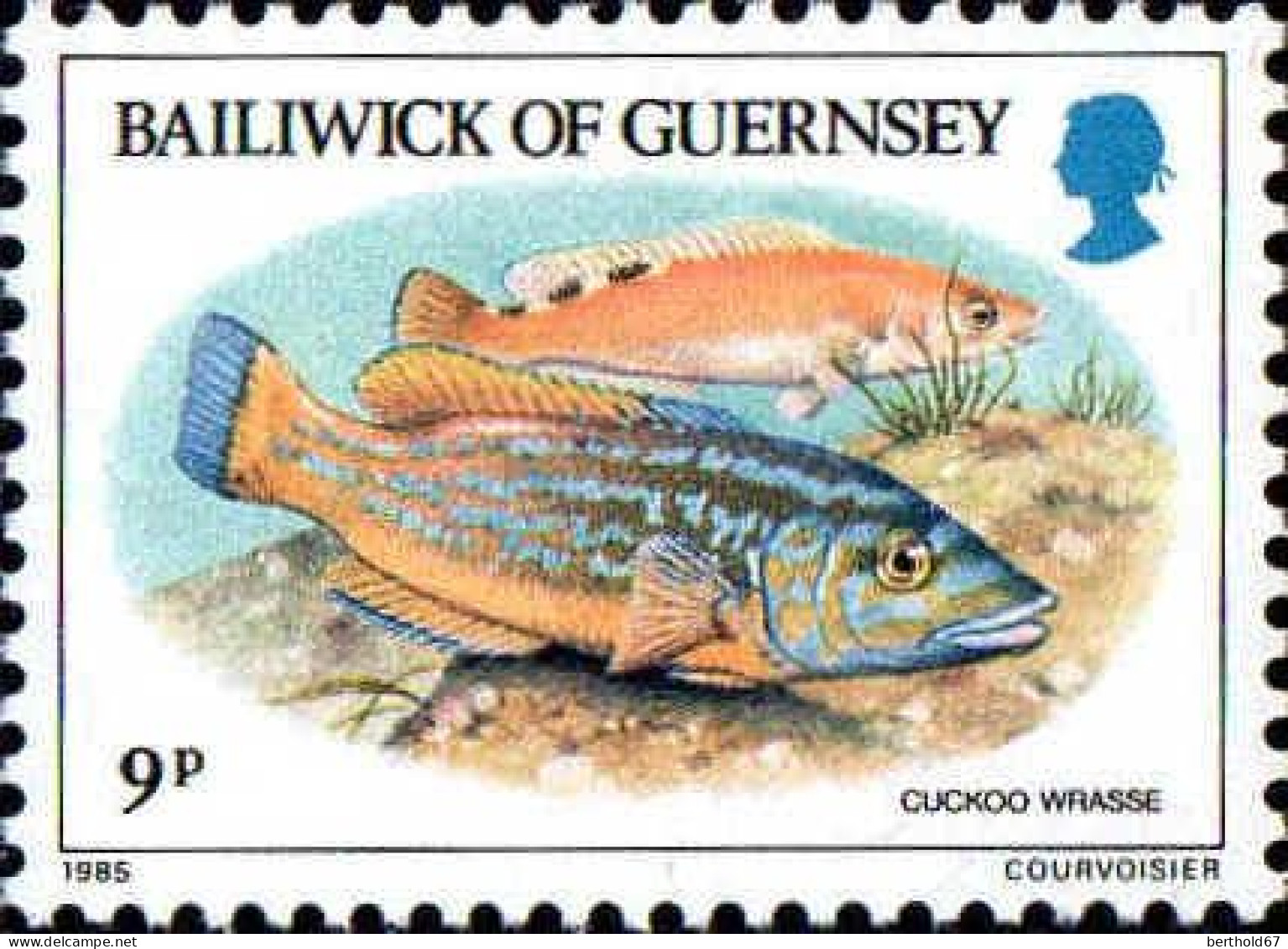 Guernesey Poste N** Yv:316/320 Poissons Du Baillage - Guernesey