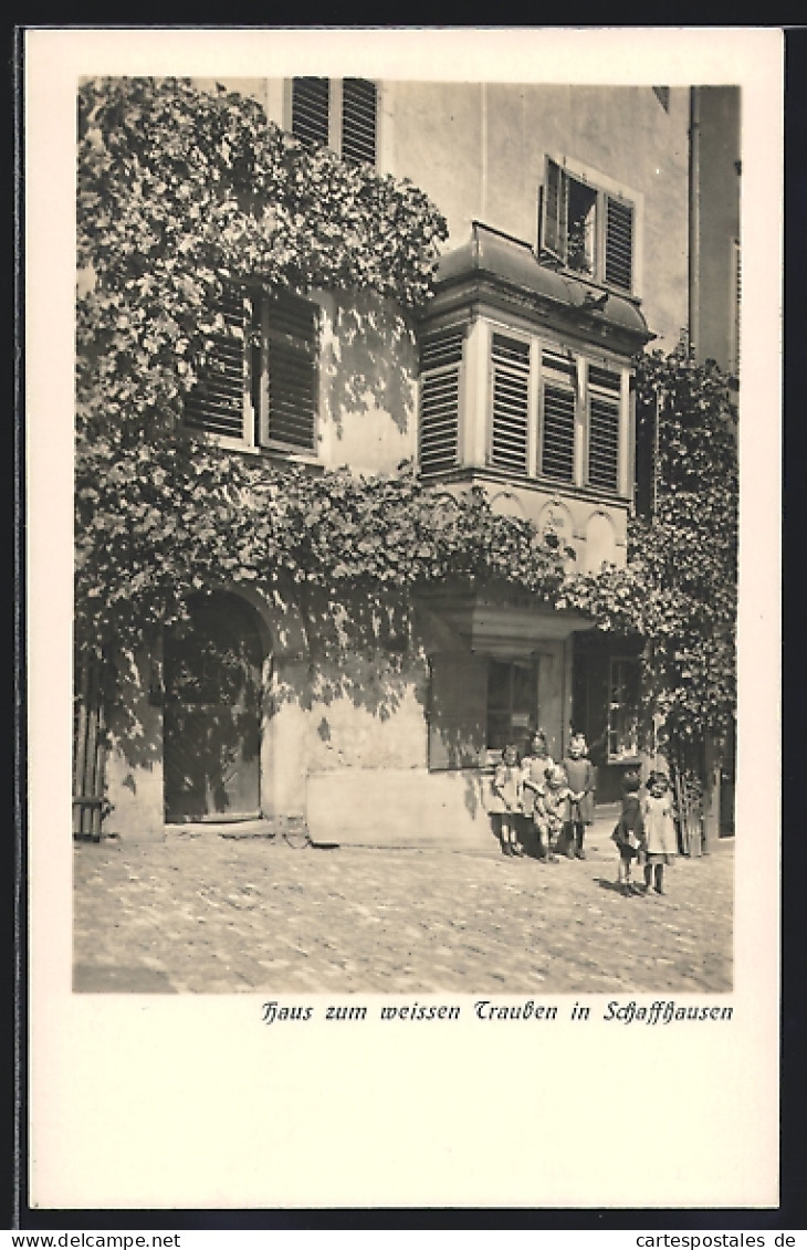 AK Schaffhausen, Kinder Vom Gasthaus Zum Weissen Trauben  - Autres & Non Classés