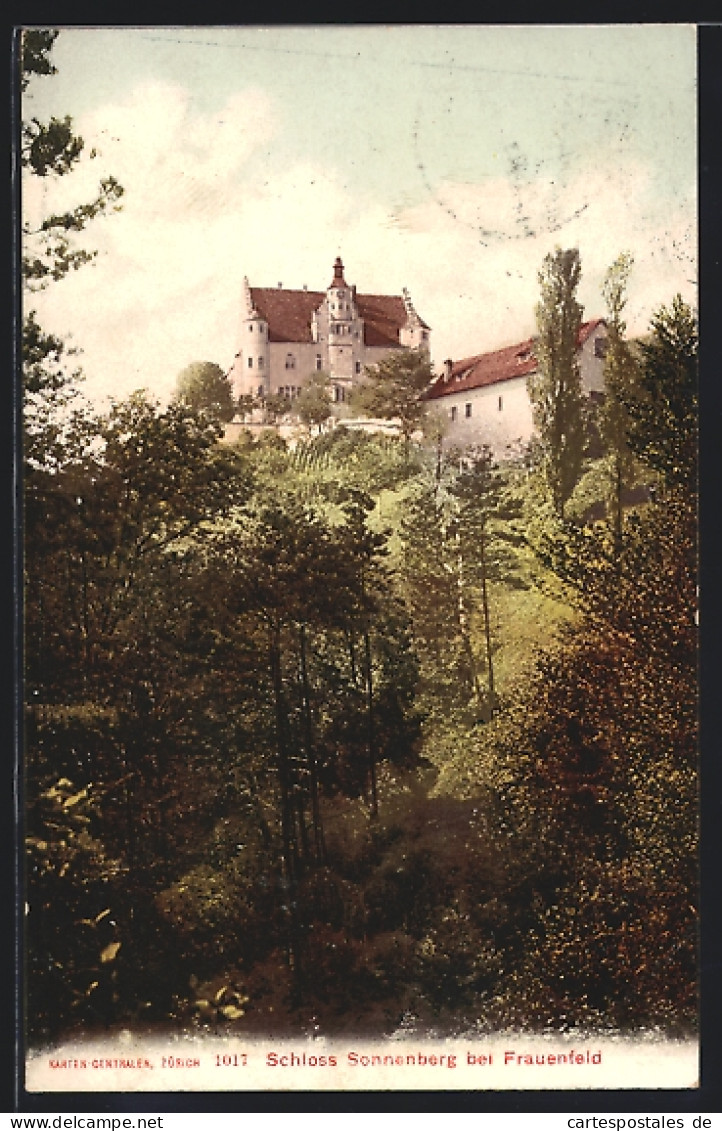 AK Frauenfeld, Blick Auf Schloss Sonnenberg  - Frauenfeld