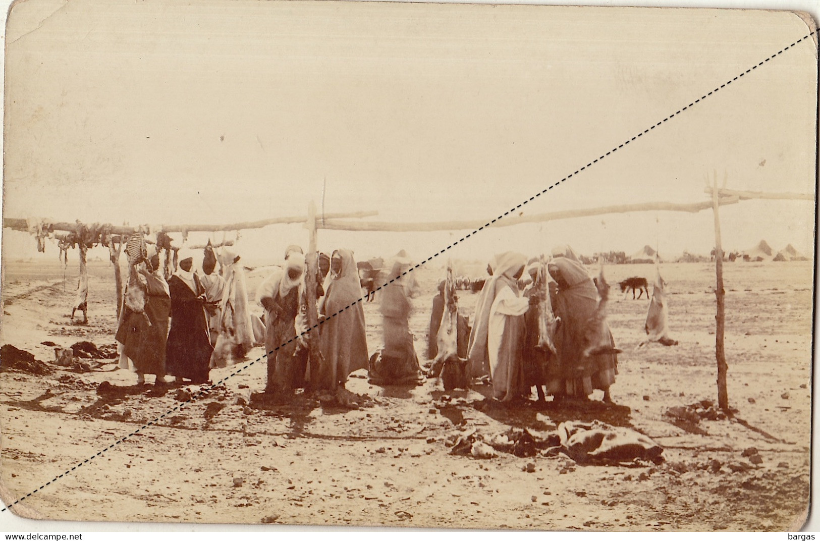 Photo Carte Postale Algérie Afrique Une Boucherie De Moutons En Plein Air En Pays Nomade Région Chéria Tebassa - Afrique