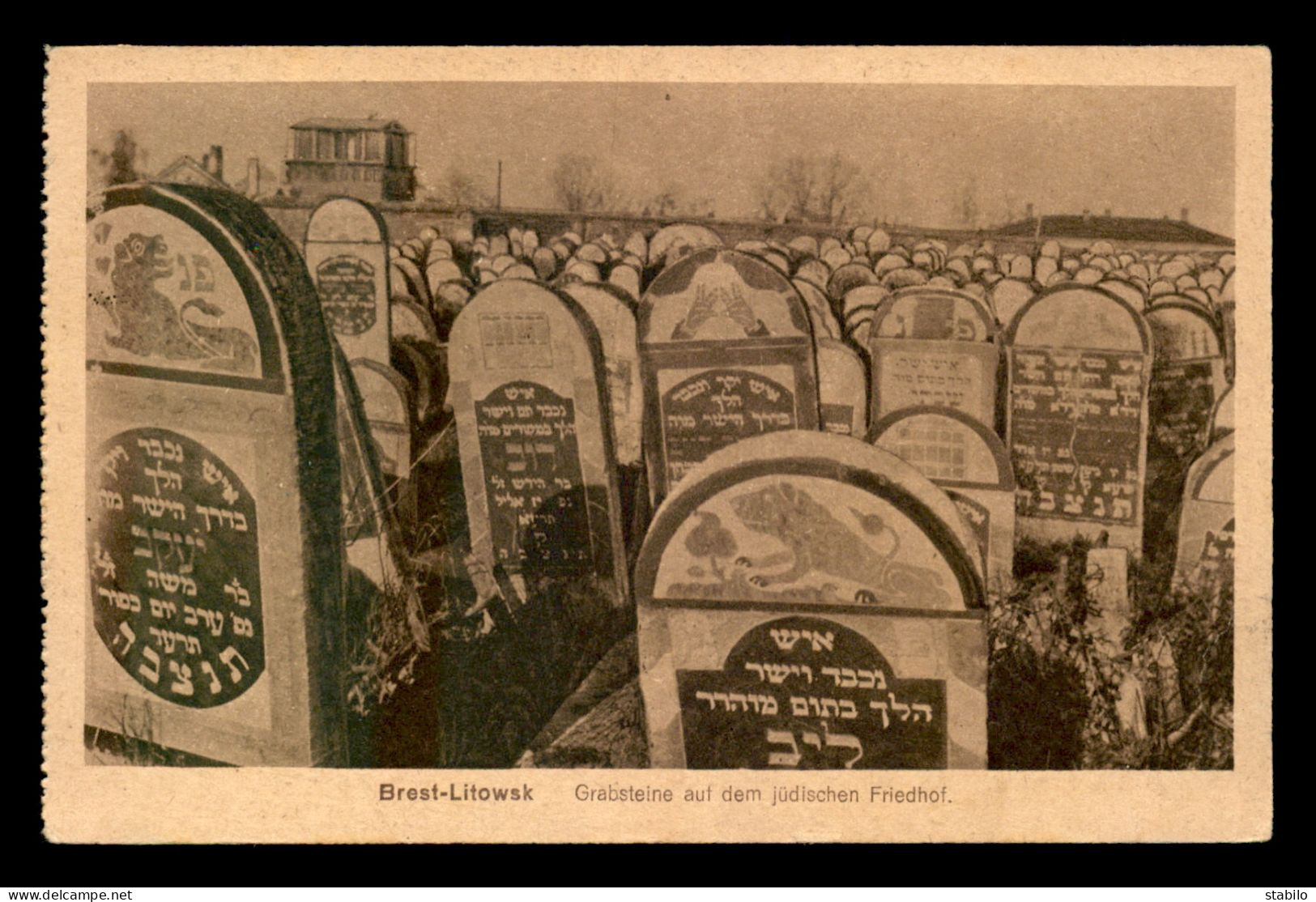 JUDAISME - BIELORUSSIE - BREST-LITOWSK - GRABSTEINE AUF DEM JUDISCHEN FRIEDHOF - Jodendom