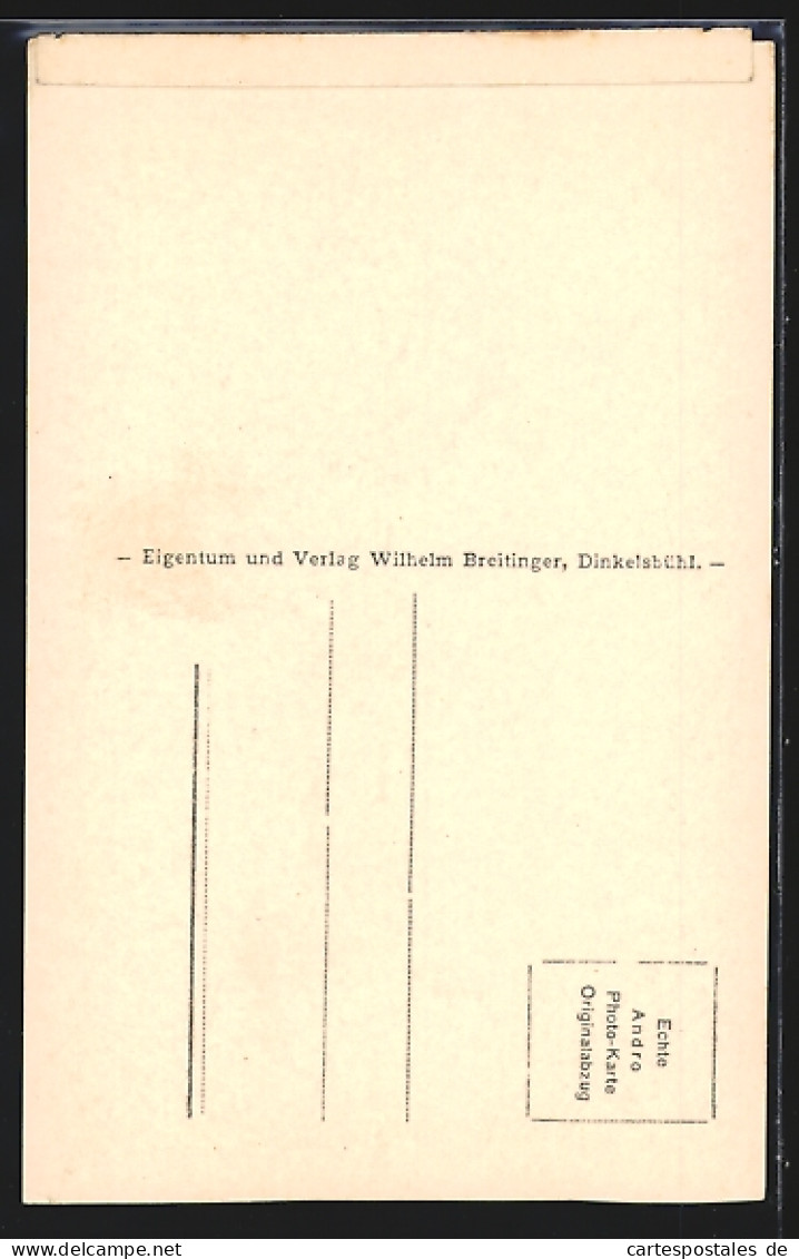 AK Dinkelsbühl, Wehr An Der Stadtmühle  - Dinkelsbuehl