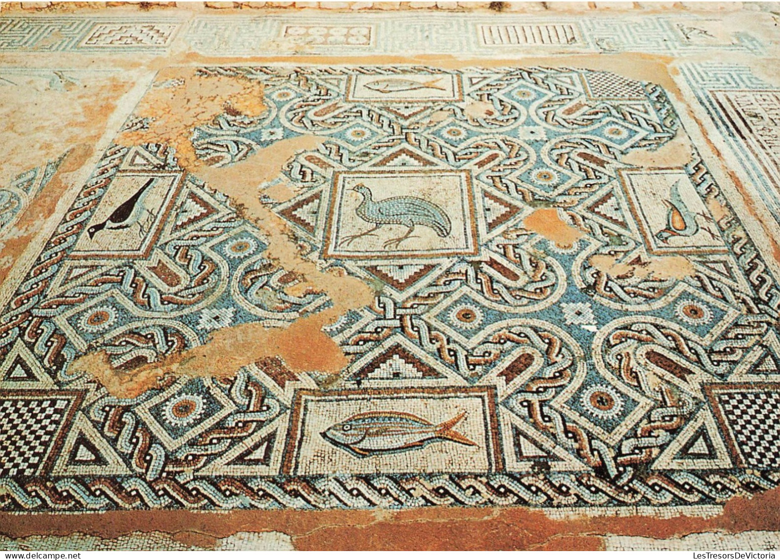 CHYPRE - Mosaïques Curium Limassol - Colorisé - Carte Postale - Cipro