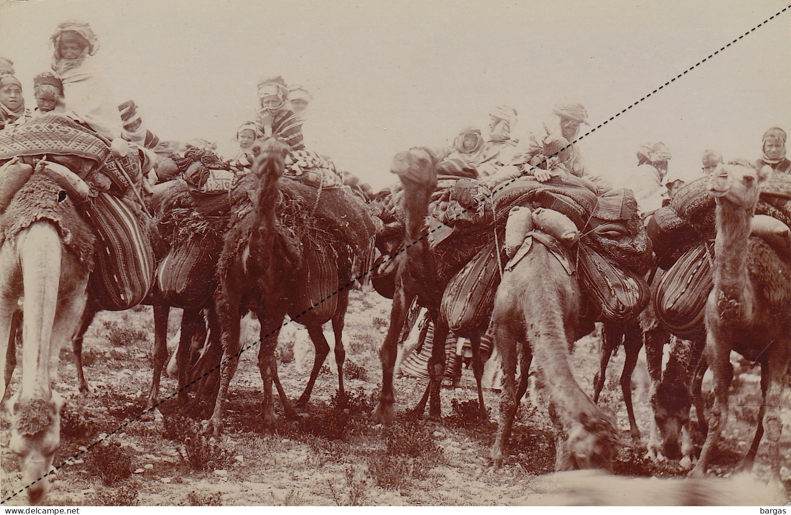 Photo Carte Postale Algérie Afrique Caravane De Femmes Enfants à Dos De Chameaux D'un Douar Vers .... - Africa