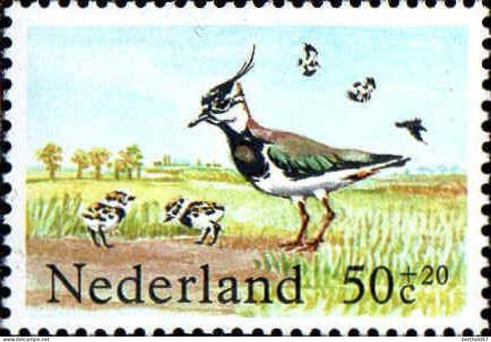 Pays-Bas Poste N** Yv:1216/1219 Timbres D'été Oiseaux Des Prés - Neufs