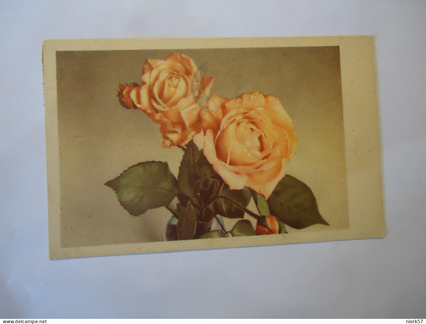 ITALY POSTCARDS   FLOWERS   ROSES  POSTMARK MODENA 1954 - Autres & Non Classés