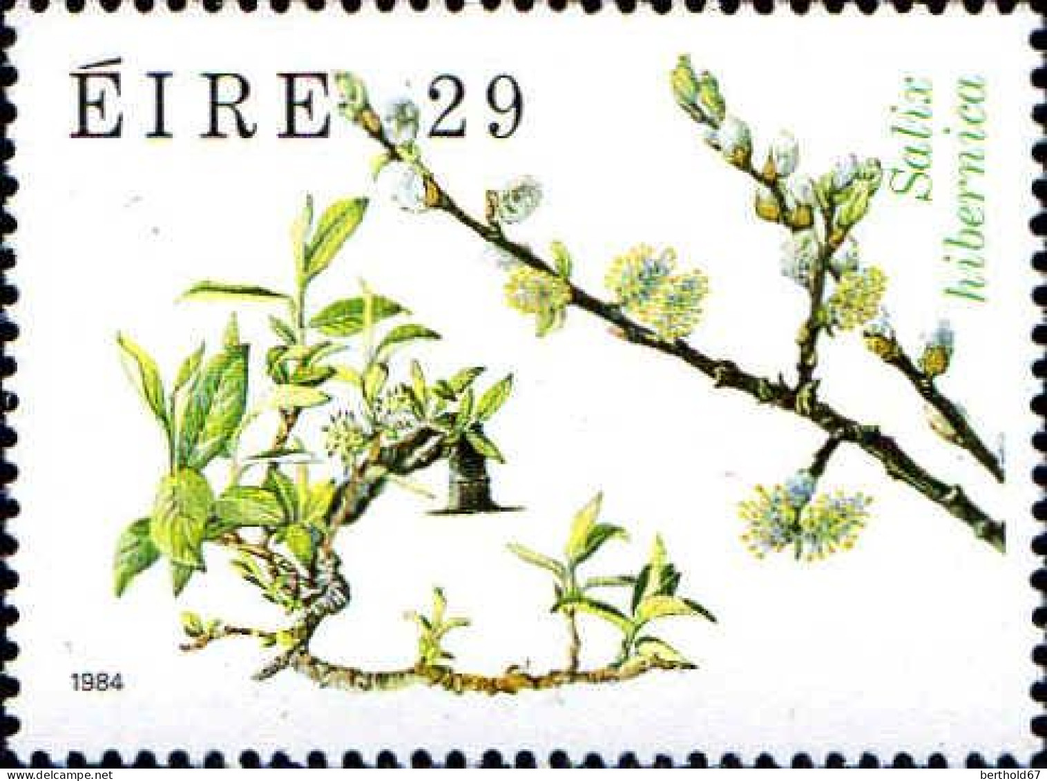 Irlande Poste N** Yv: 535/538 Faune & Flore 7.Serie Arbres - Ongebruikt