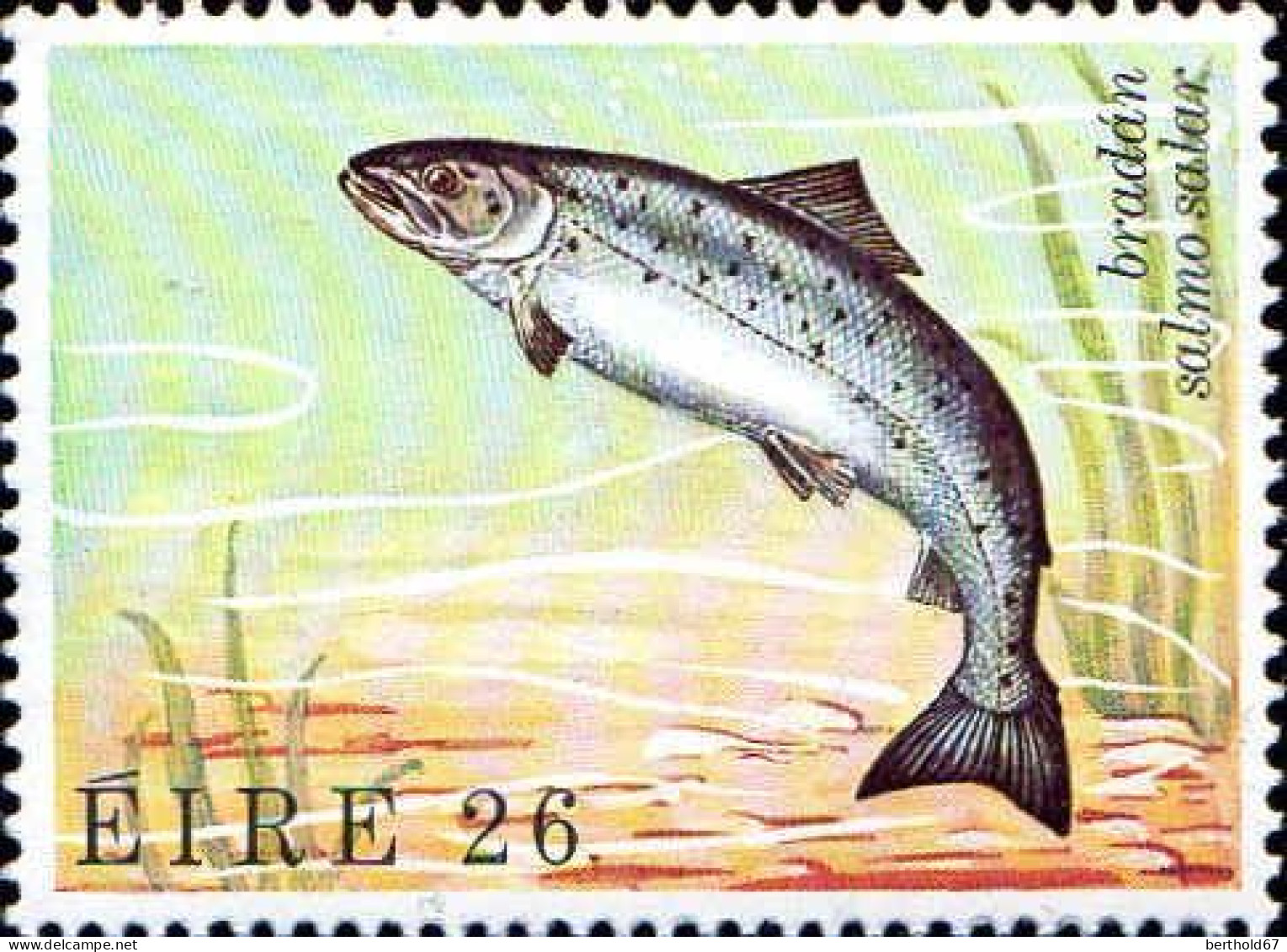 Irlande Poste N** Yv: 475/478 Faune & Flore 5.Serie Vie Marine - Unused Stamps