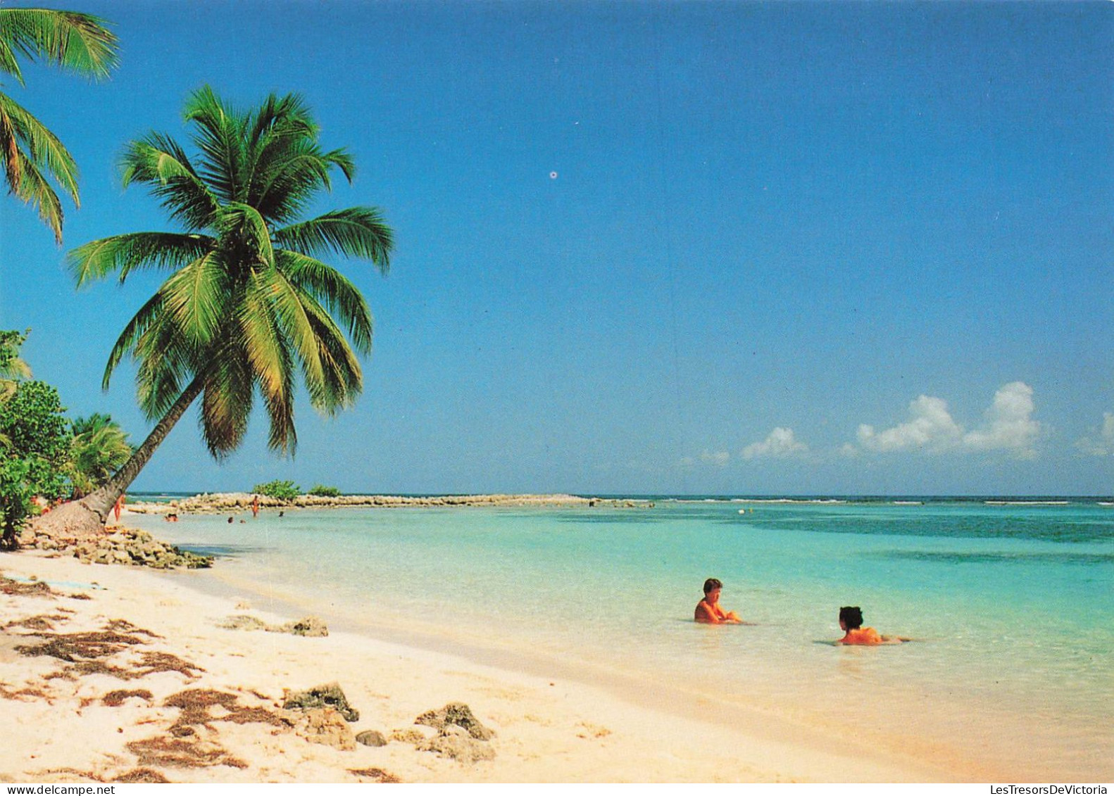 FRANCE - Guadeloupe - Vue Sur La Plage Caravelle Ste Anne - Animé - La Mer - Carte Postale - Andere & Zonder Classificatie