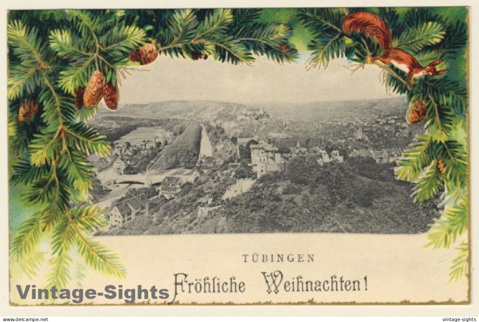 Tübingen / Germany: Panorama View / Squirrel (Vintage PC ~1910s) - Tuebingen