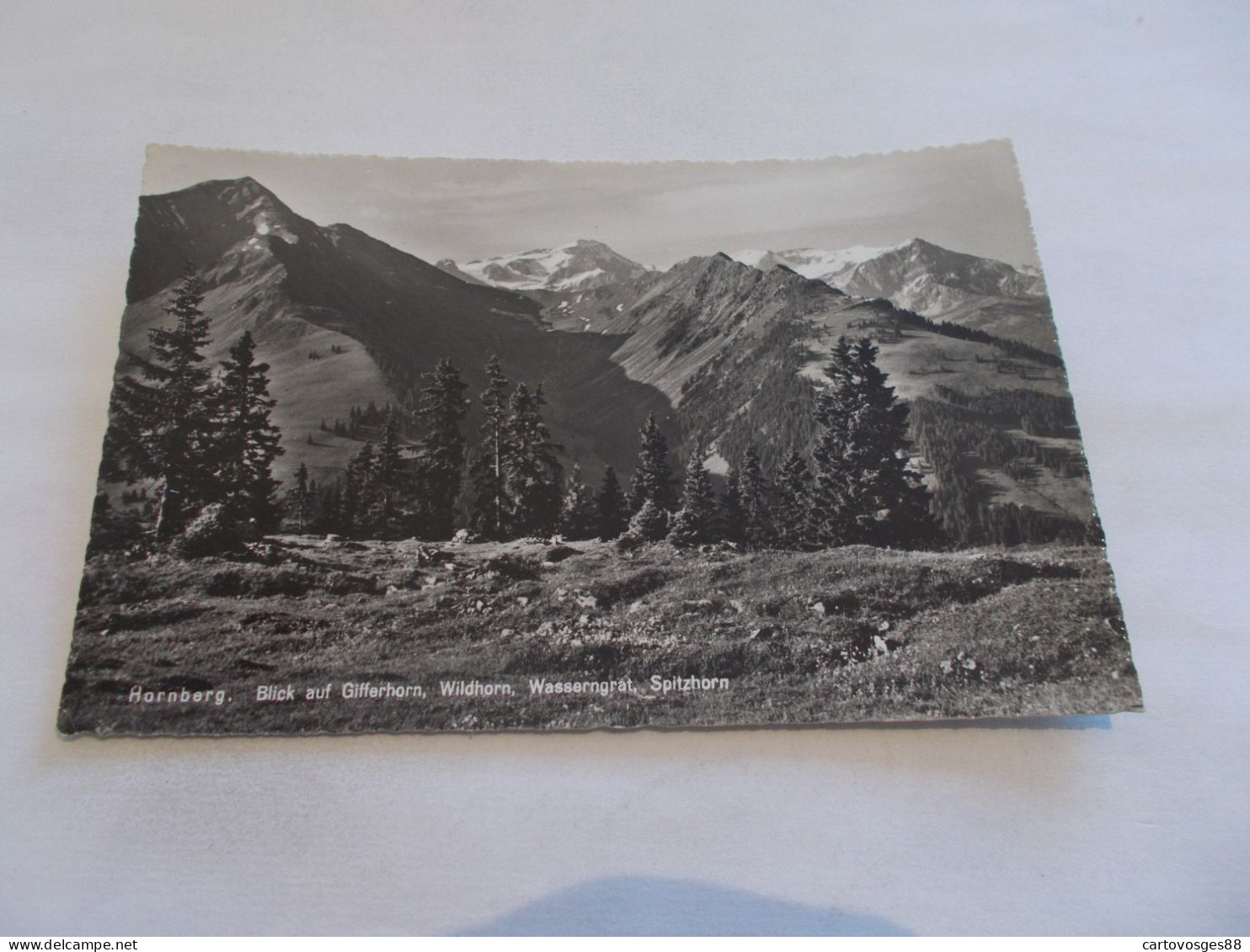 HORNBERG BERNE ( SUISSE SWITZERLAND ) BLICK AUF GIFFERHORN WILDHORN WASSERGRAT SPIZHORN  BELLE VUE - Altri & Non Classificati