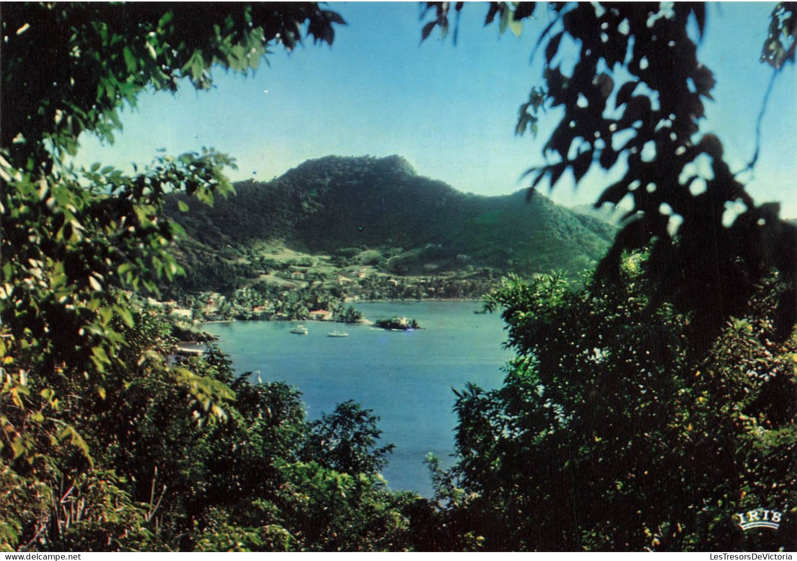 FRANCE - Guadeloupe - Les Saintes - Le Port Napoléon - La Rade De Terre De Haut Et Le Chameau - Carte Postale - Autres & Non Classés