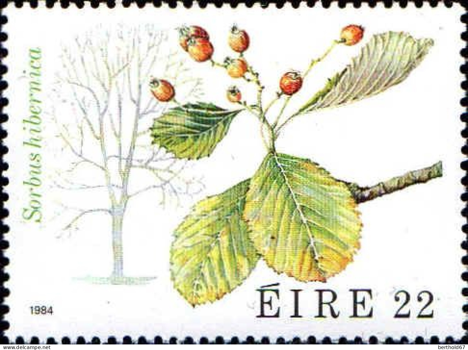 Irlande Poste N** Yv: 535/538 Faune & Flore 7.Serie Arbres - Árboles