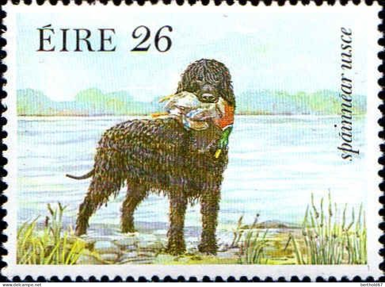 Irlande Poste N** Yv: 506/510 Faune & Flore 6.Serie Chiens De Race - Dogs