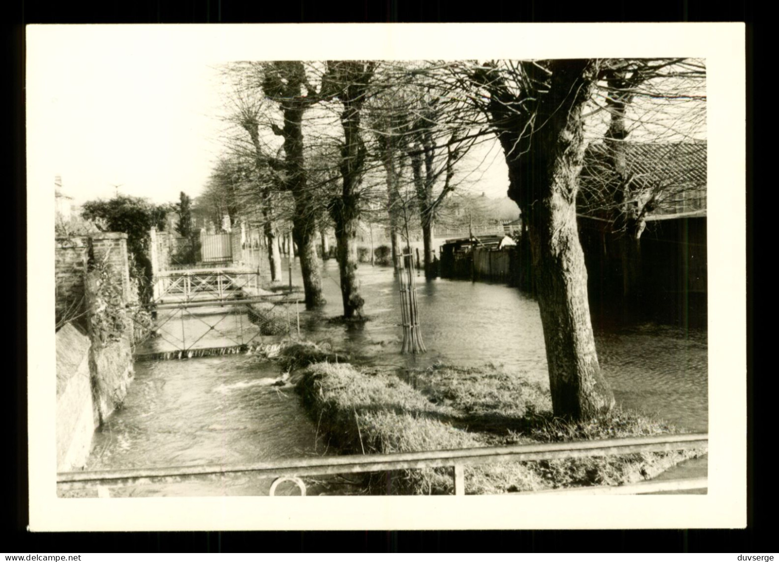 Photographie 76 Seine Maritime Gournay En Bray Crue De L ' Epte 1965 Inondations ( Format 9cm X 13cm ) - Orte