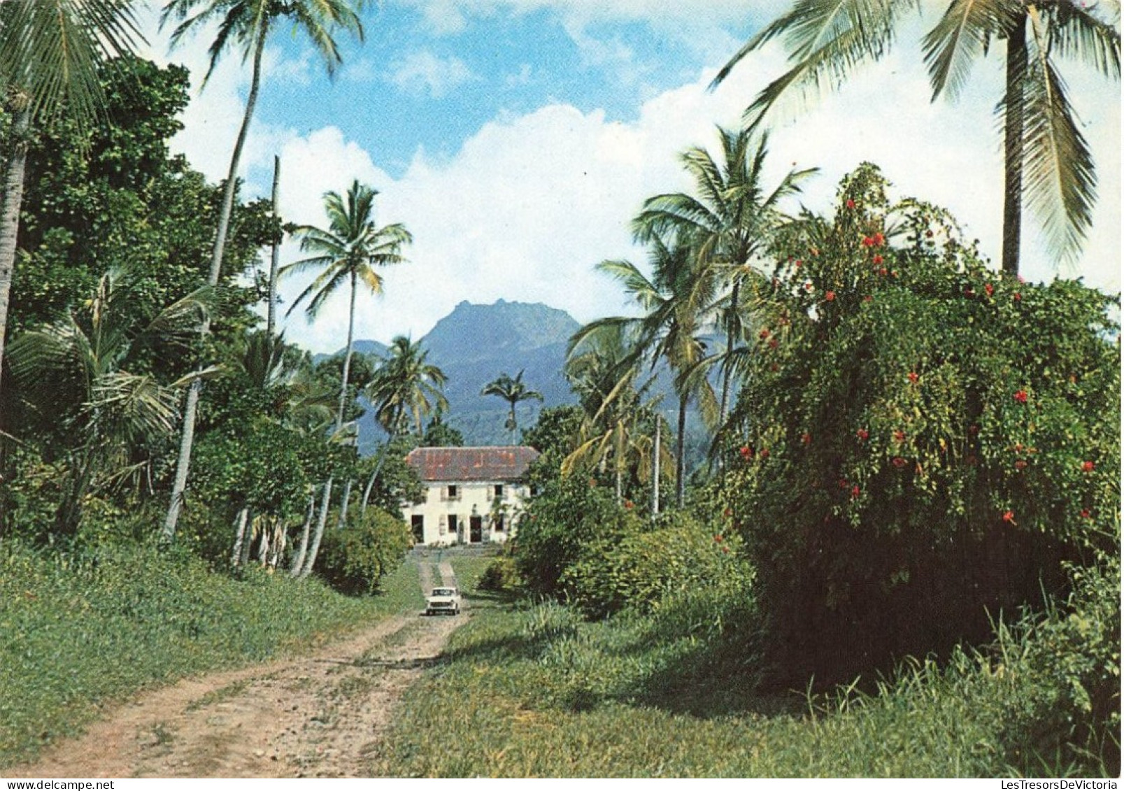 FRANCE - Guadeloupe - Saint Claude - Habitation Au Pied De La Soufrière - Vue Générale - Carte Postale - Autres & Non Classés
