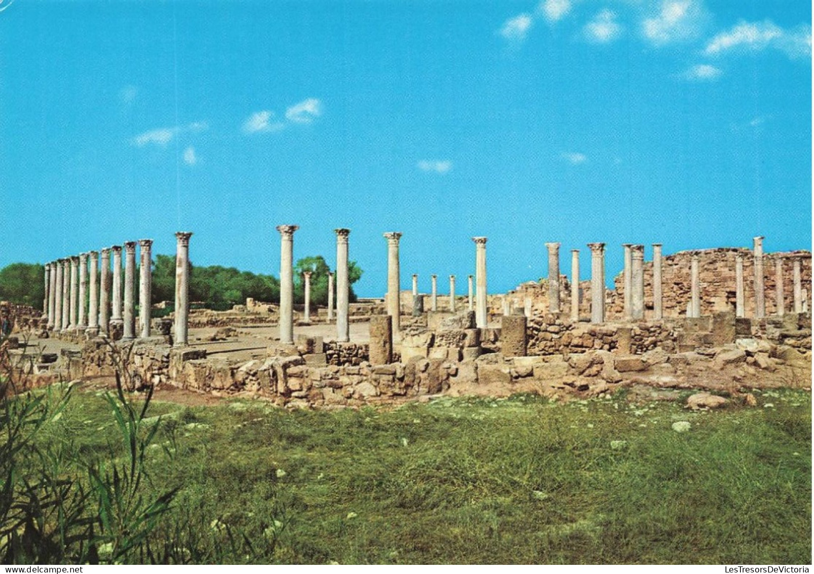 CHYPRE - Salamis - La Colonnade Du Portique Ouest Du Gymnase - Epoque Gréco Romaine - Colorisé - Carte Postale - Cipro