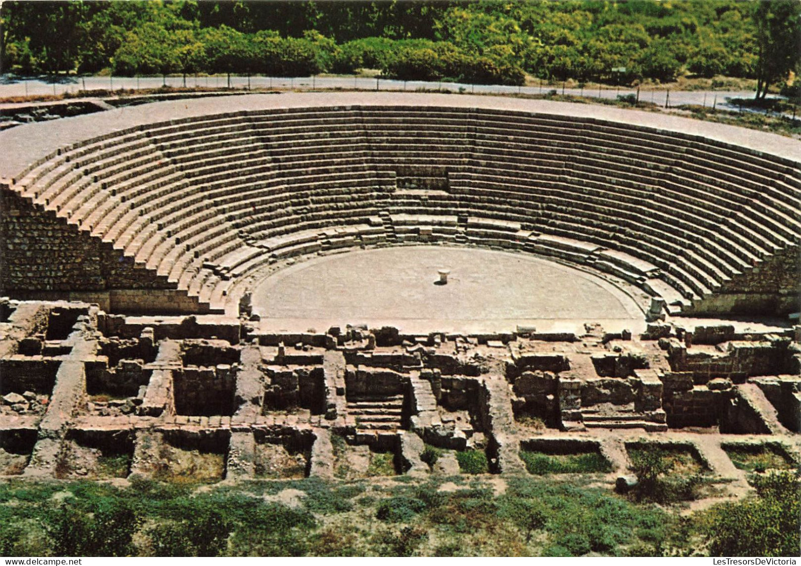 CHYPRE - Salamis - Théâtre De Salamis - 1er Siècle Ap. J.C - Colorisé - Carte Postale - Chipre