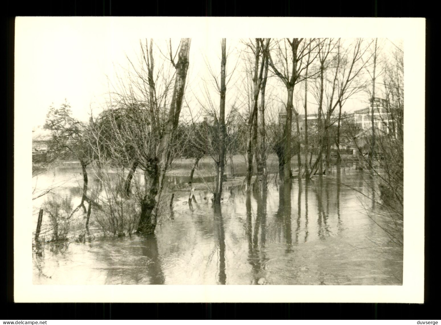 Photographie 76 Seine Maritime Gournay En Bray Crue De L ' Epte 1965 Inondations ( Format 9cm X 13cm ) - Places