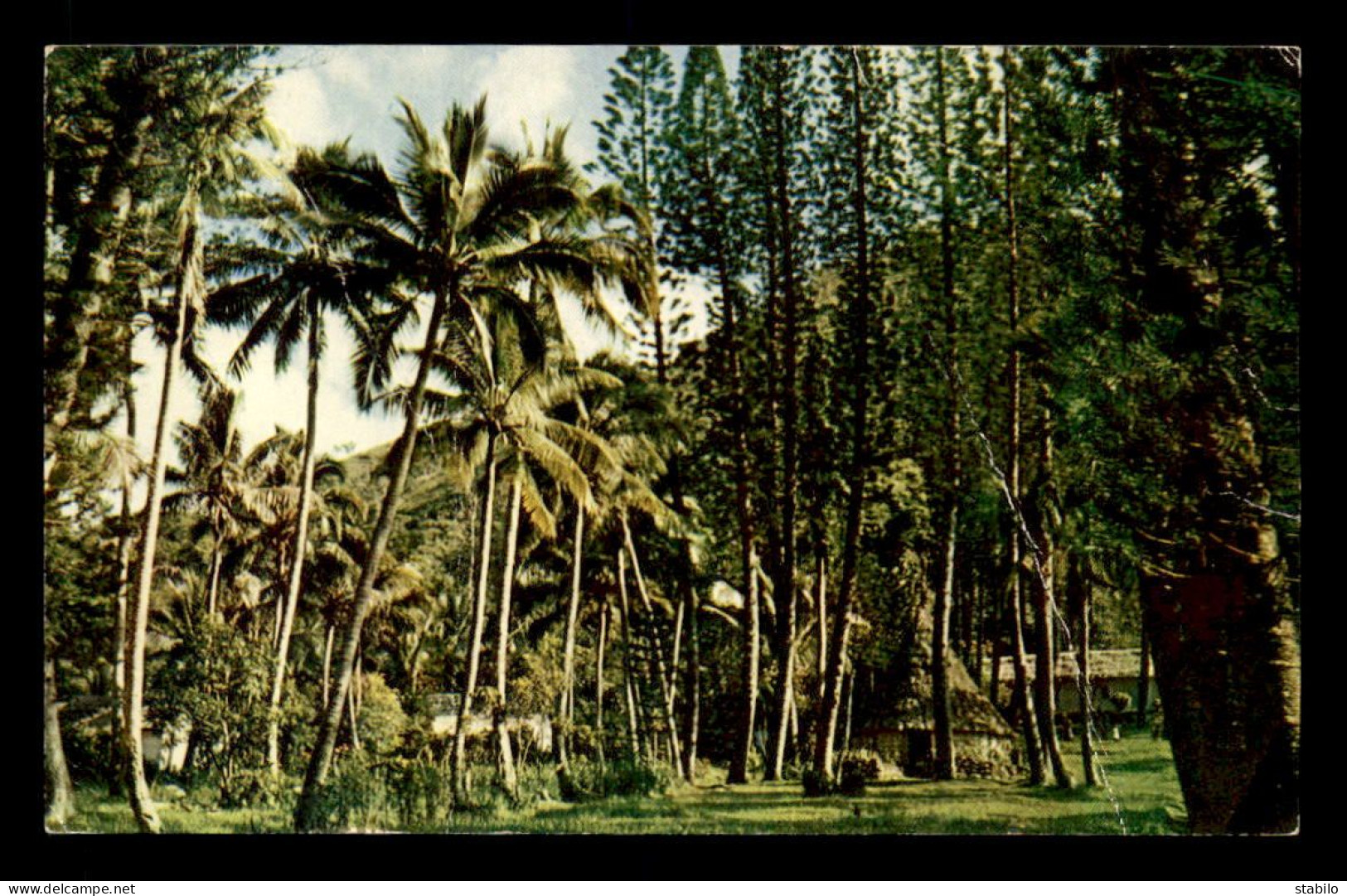 NOUVELLE CALEDONIE - PETIT COULI - LA TRIBU - Neukaledonien