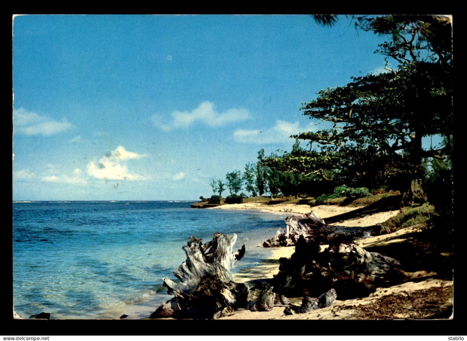 ILE MAURICE - CRIQUE SAUVAGE - Mauritius