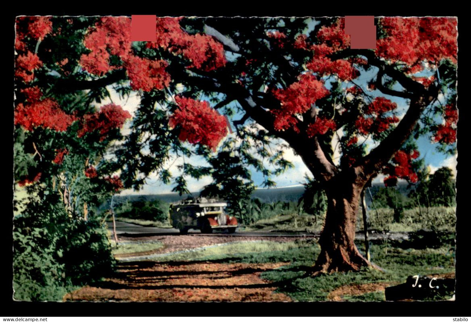 LA REUNION - FLAMBOYANT - AUTOCAR CITROEN - Autres & Non Classés