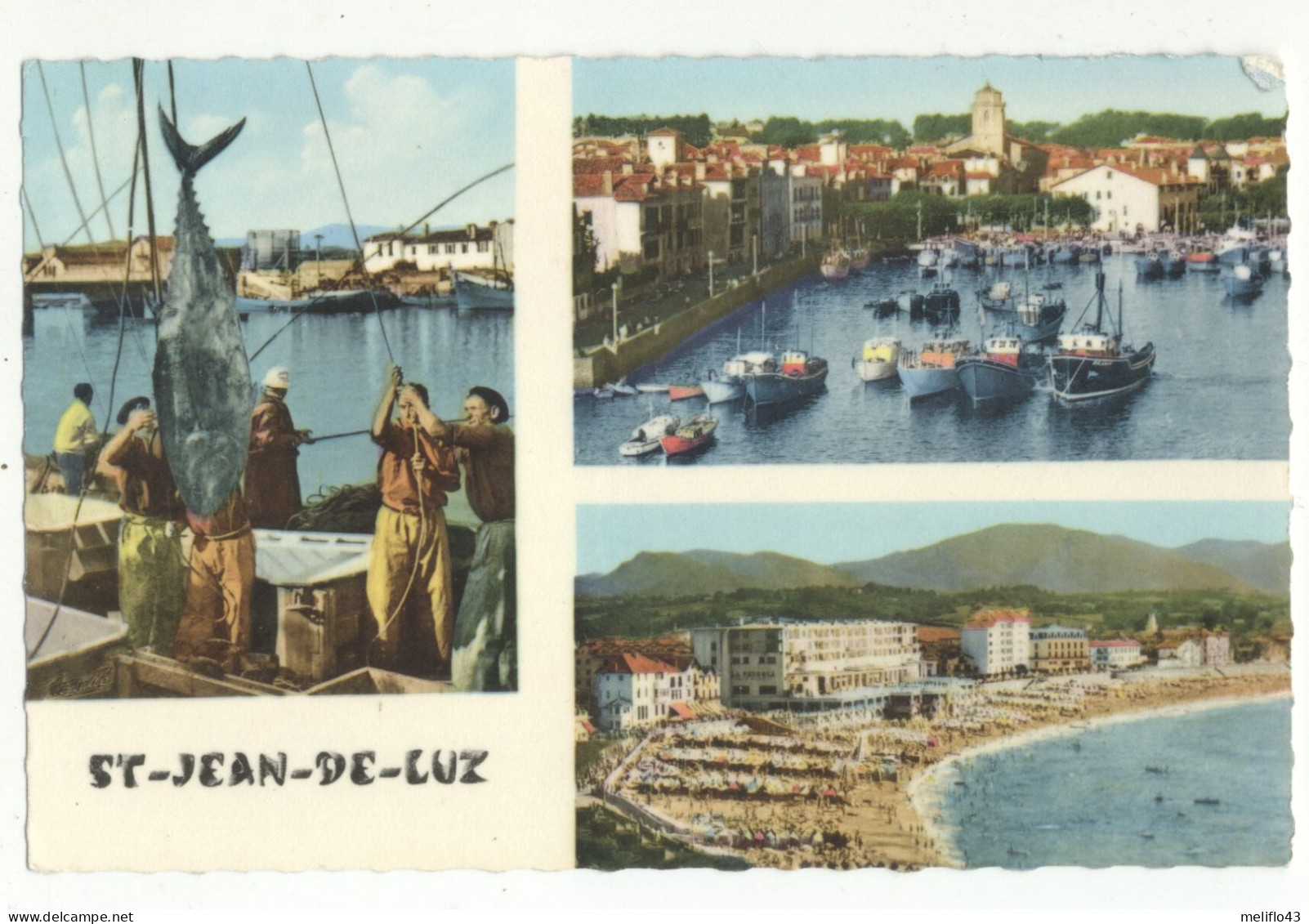 64/ CPSM - Saint Jean De Luz - Multivue - Saint Jean De Luz