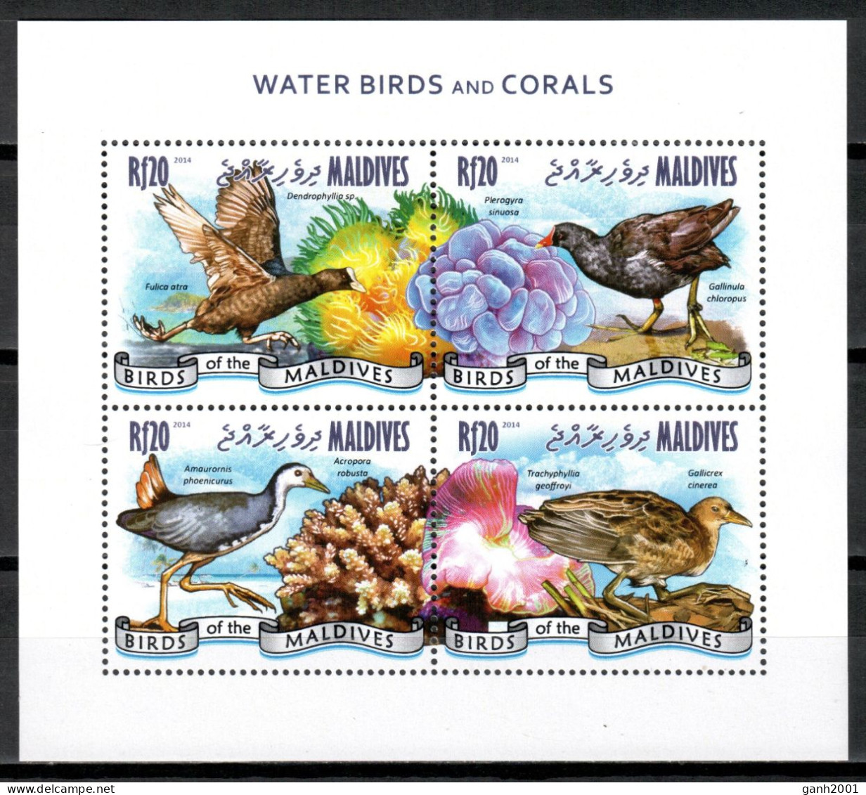 Maldives 2014 Maldivas / Birds MNH Vögel Aves Oiseaux / Cu21230  24-8 - Sonstige & Ohne Zuordnung