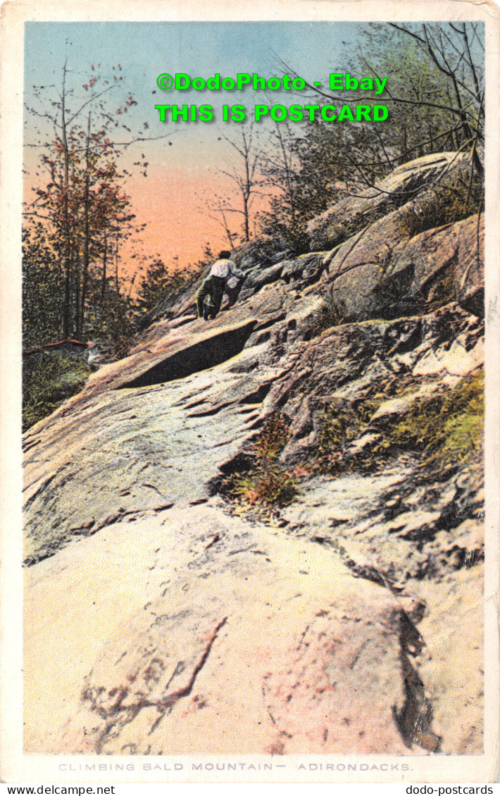 R418268 Climbing Bald Mountain. Adirondacks. Union News Company. Poly Chrome. G. - Mundo