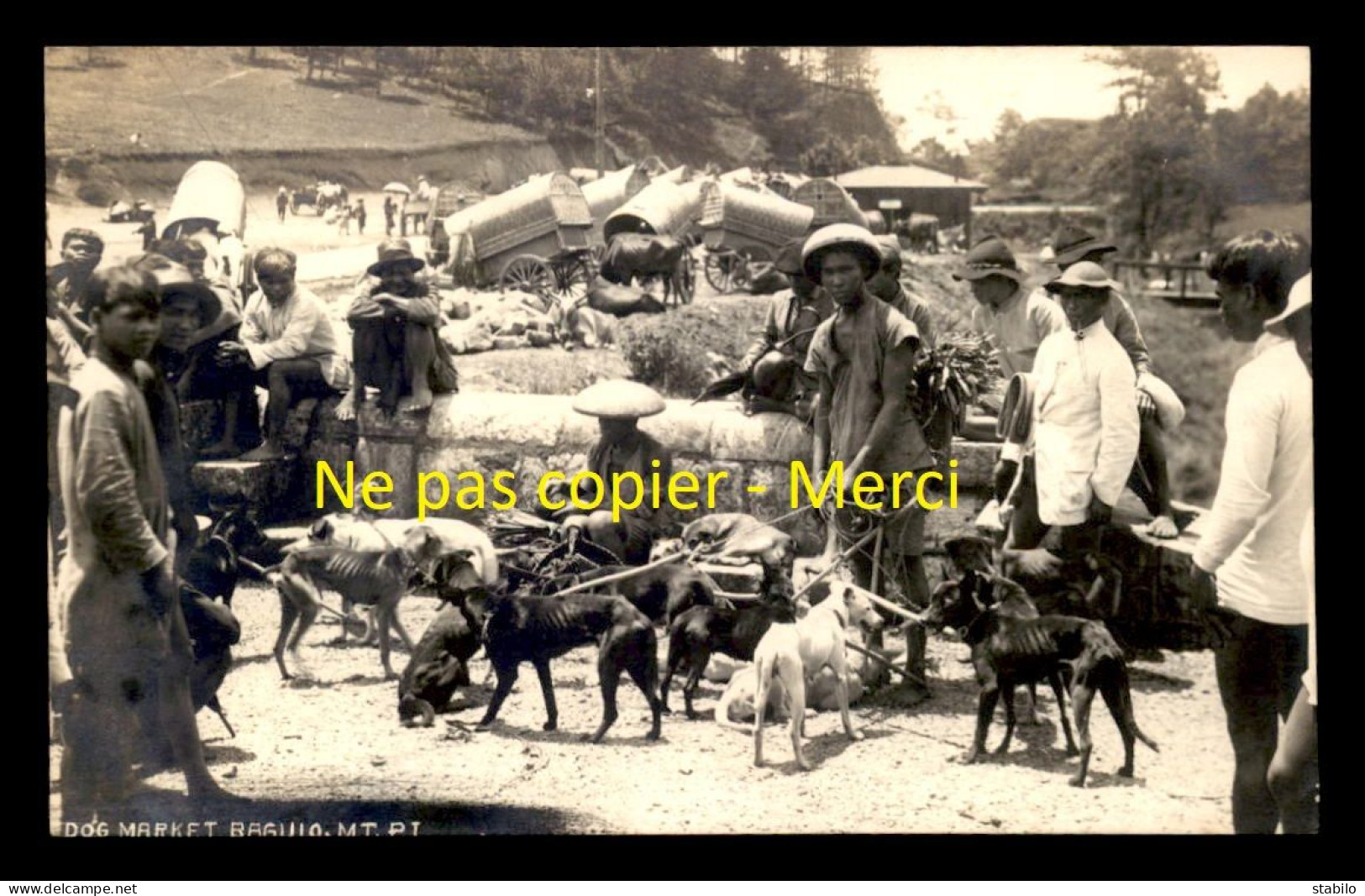 PHILIPPINES - BAGUIO - DOG MARKET - MARCHE AUX CHIENS - CARTE PHOTO ORIGINALE - Filippijnen