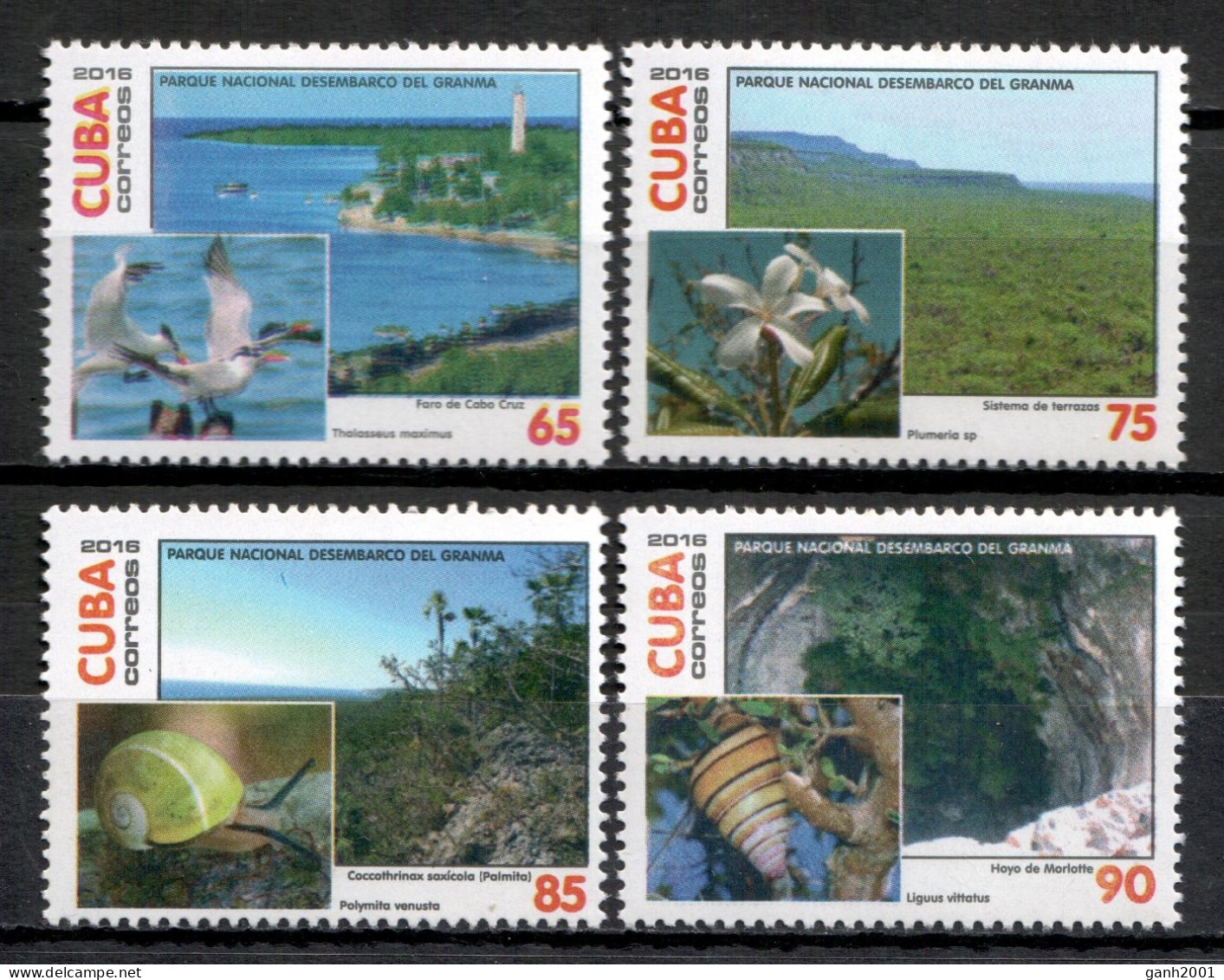 Cuba 2016 / Birds Flowers Snails MNH Aves Flores Caracoles Vögel Blumen  / Cu21613  C3-2 - Andere & Zonder Classificatie