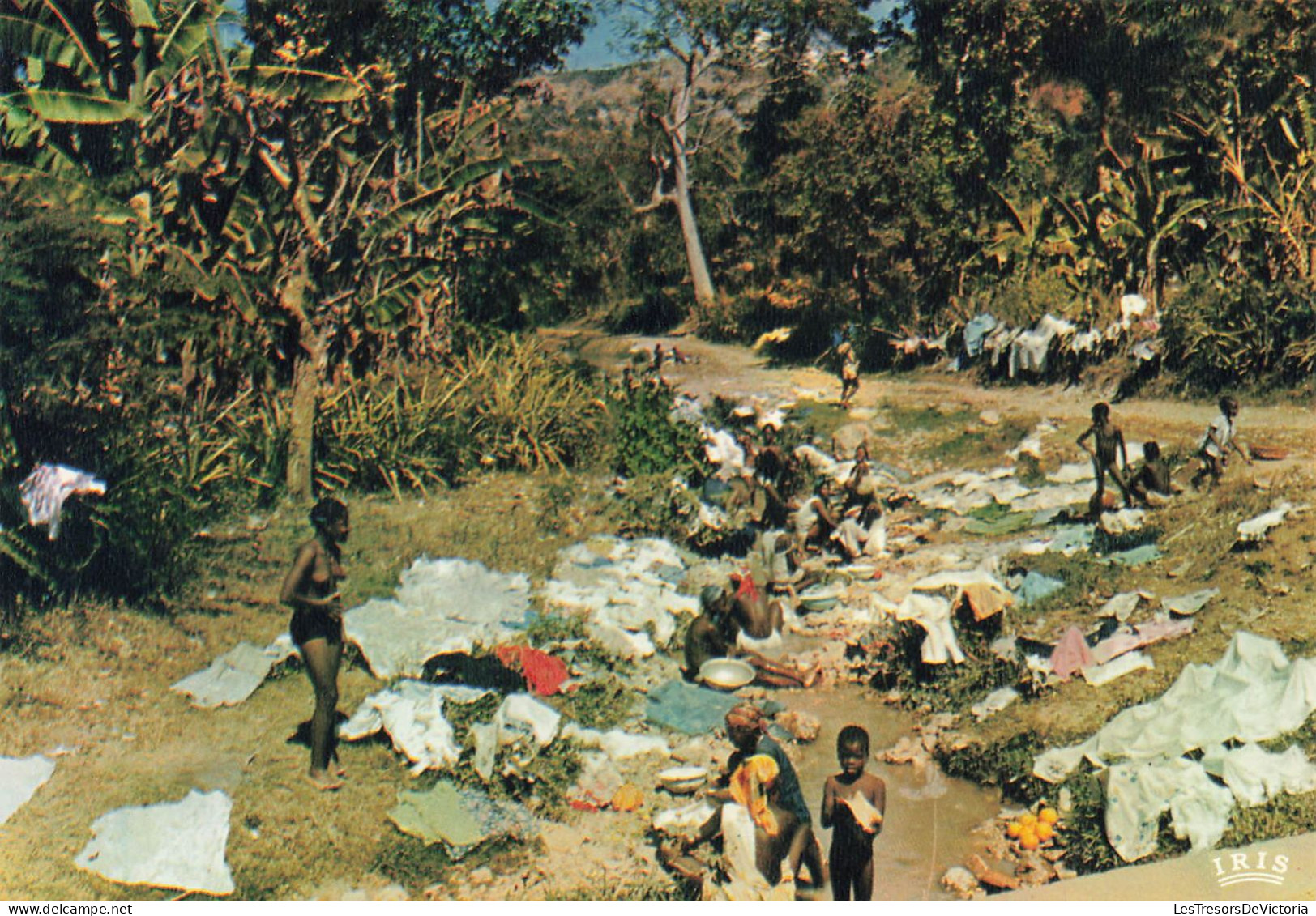 ANTILLES - Haiti Jacmel - Lavandières - Jacmel Washer Women - Animé - Carte Postale - Haiti