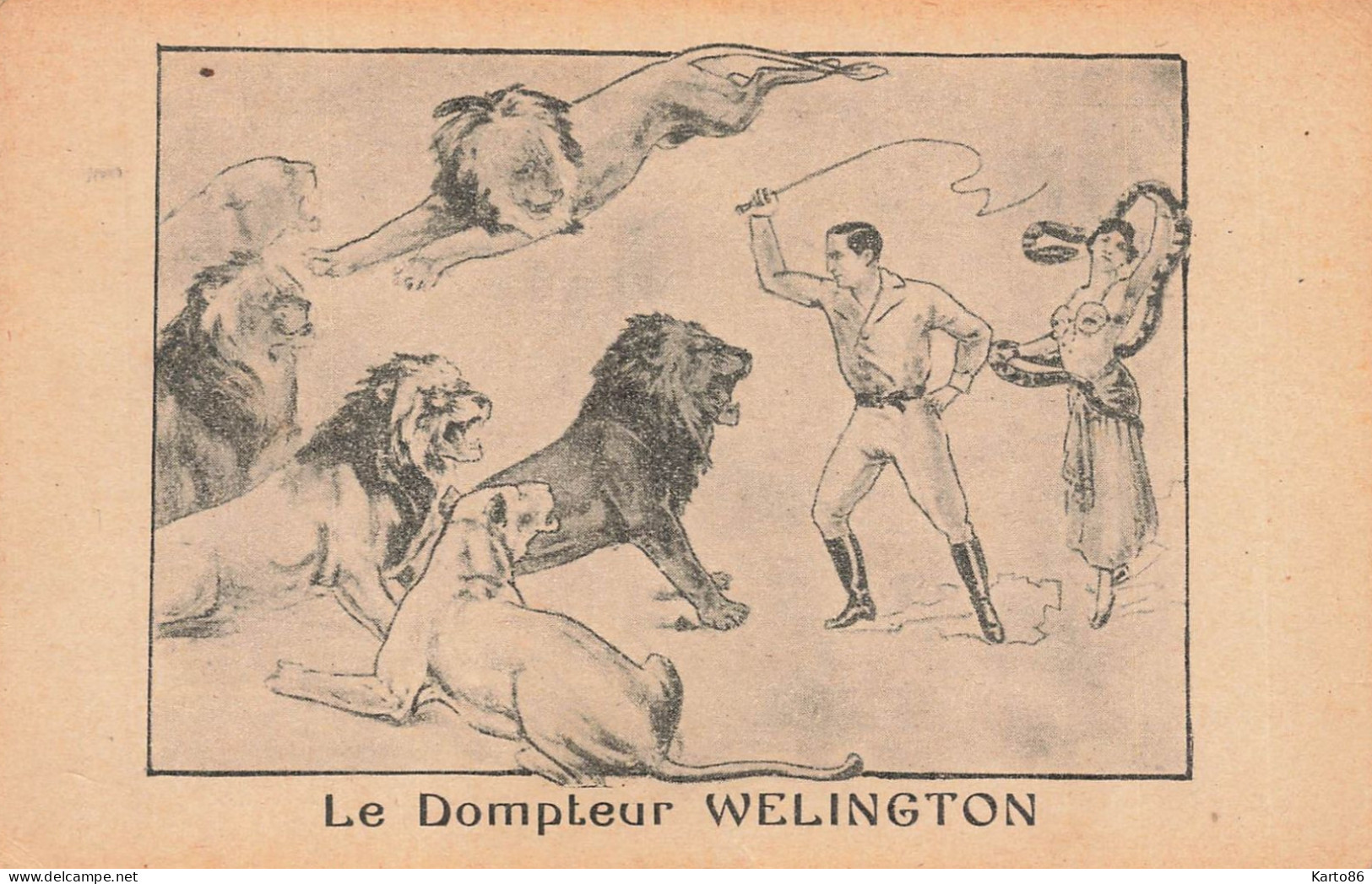 Cirque Circus * Le Dompteur WELINGTON * Lion Lions - Circo