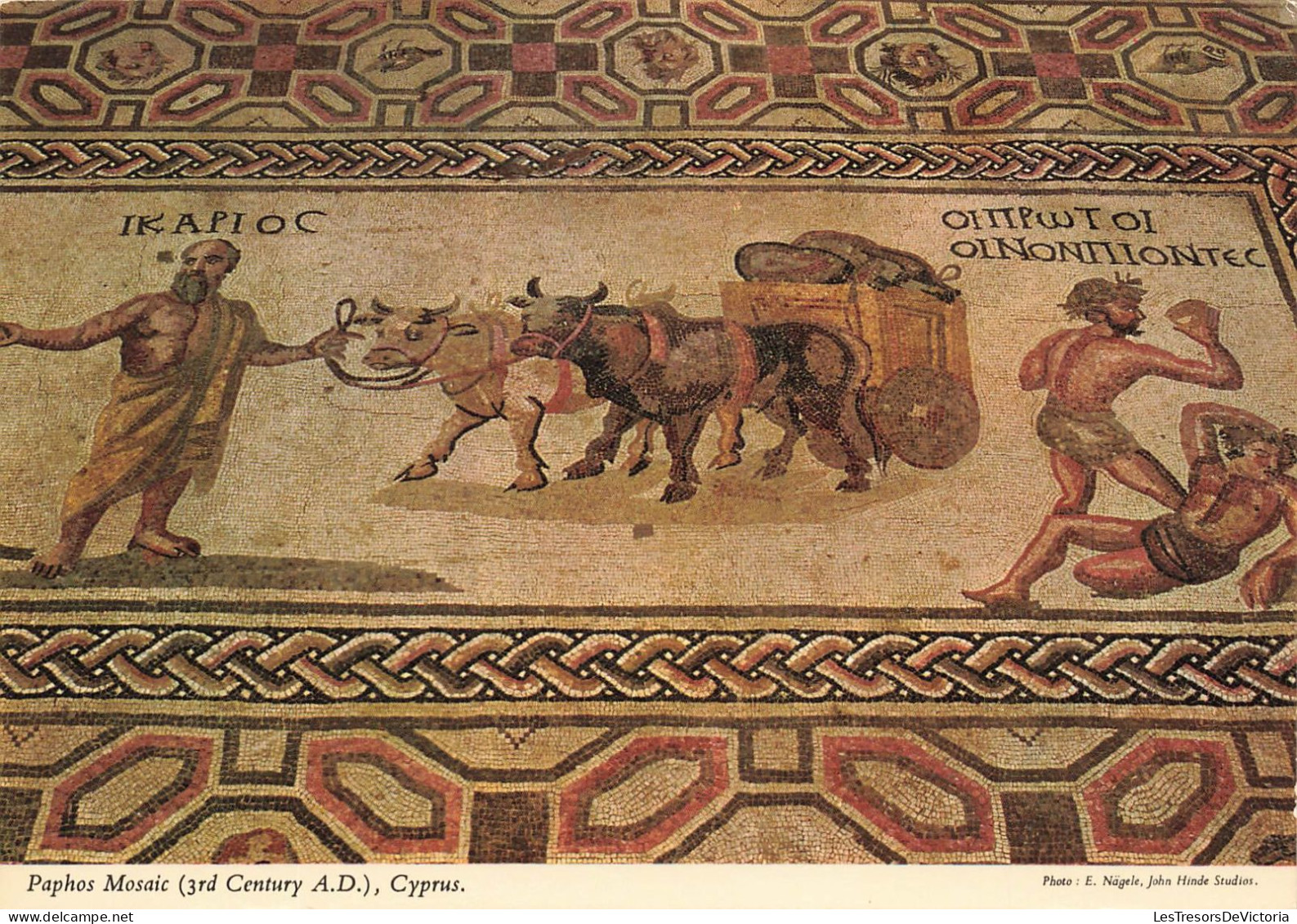 CHYPRE - Paphos - Detail Of A Floor Mosaic... - Colorisé - Carte Postale - Cipro