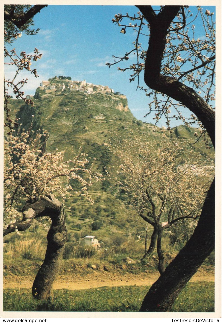 ITALIE - Castelmola - Panorama - Colorisé - Carte Postale - Messina