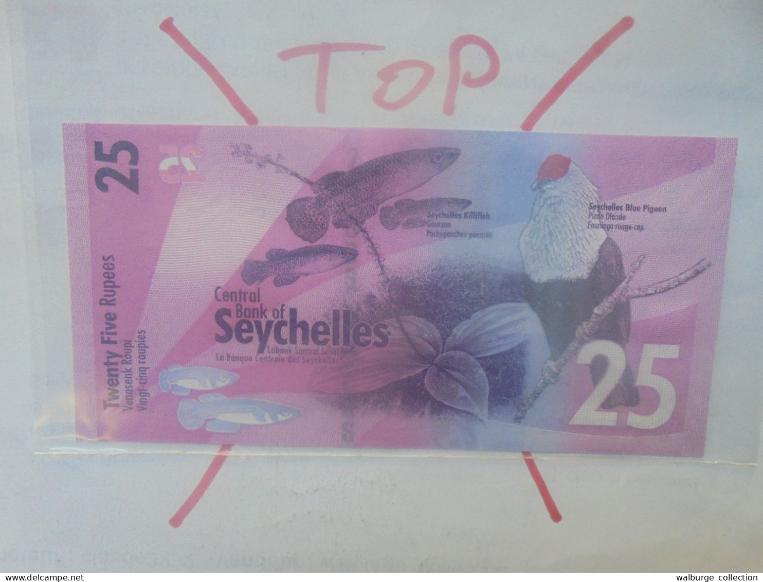 SEYCHELLES 25 Rupees 2016 Neuf (B.33) - Seychelles