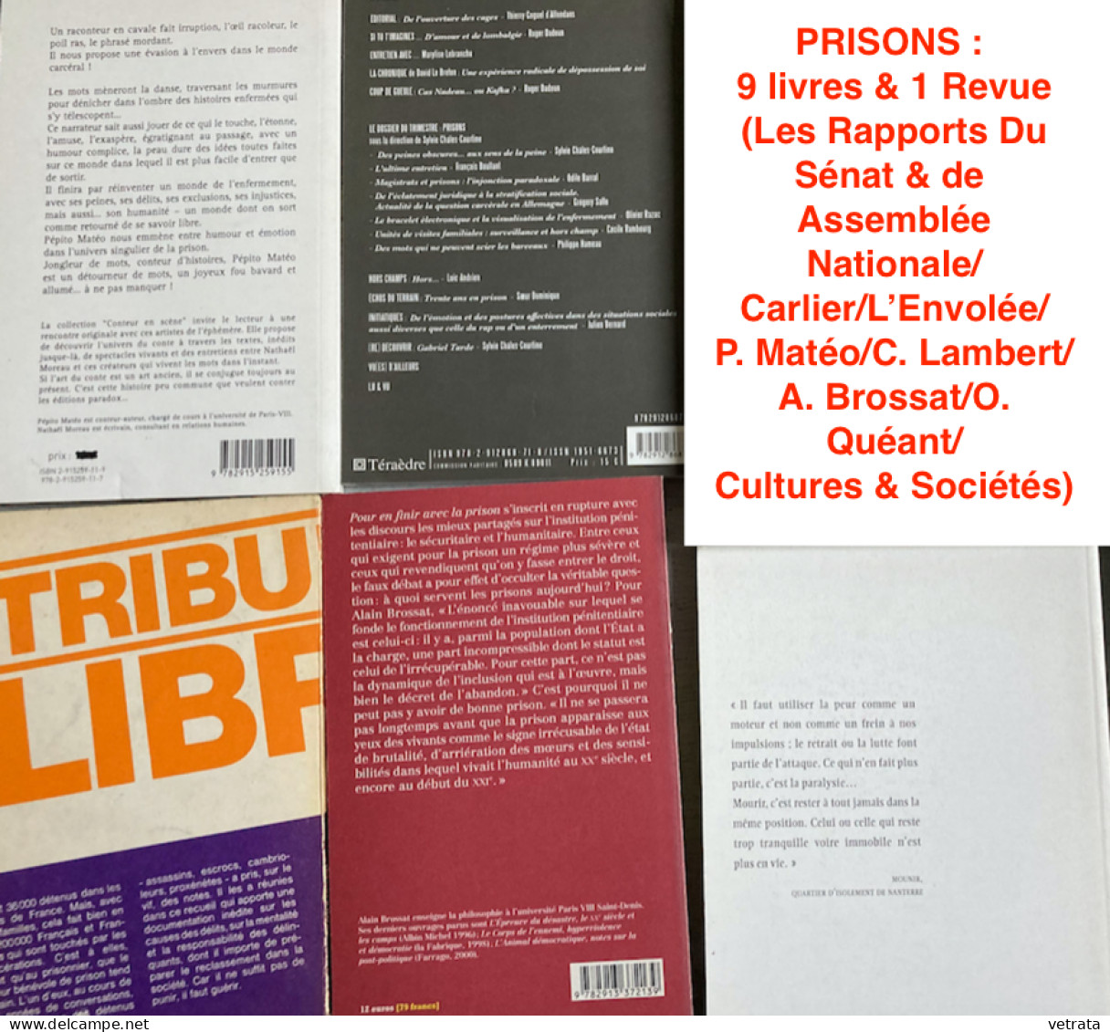 PRISONS :  9 livres & 1 Revue (Les Rapports Du Sénat & de  Assemblée Nationale/Carlier/L’Envolée/P. Matéo/C. Lambert/A.