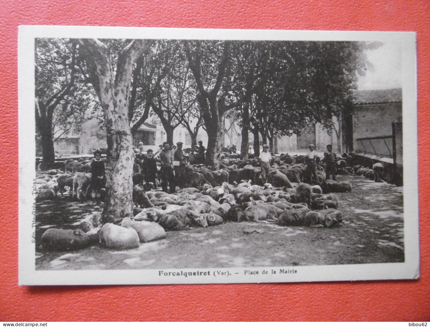 FORCALQUEIRET  ( 83 ) Place De La Mairie - Other & Unclassified