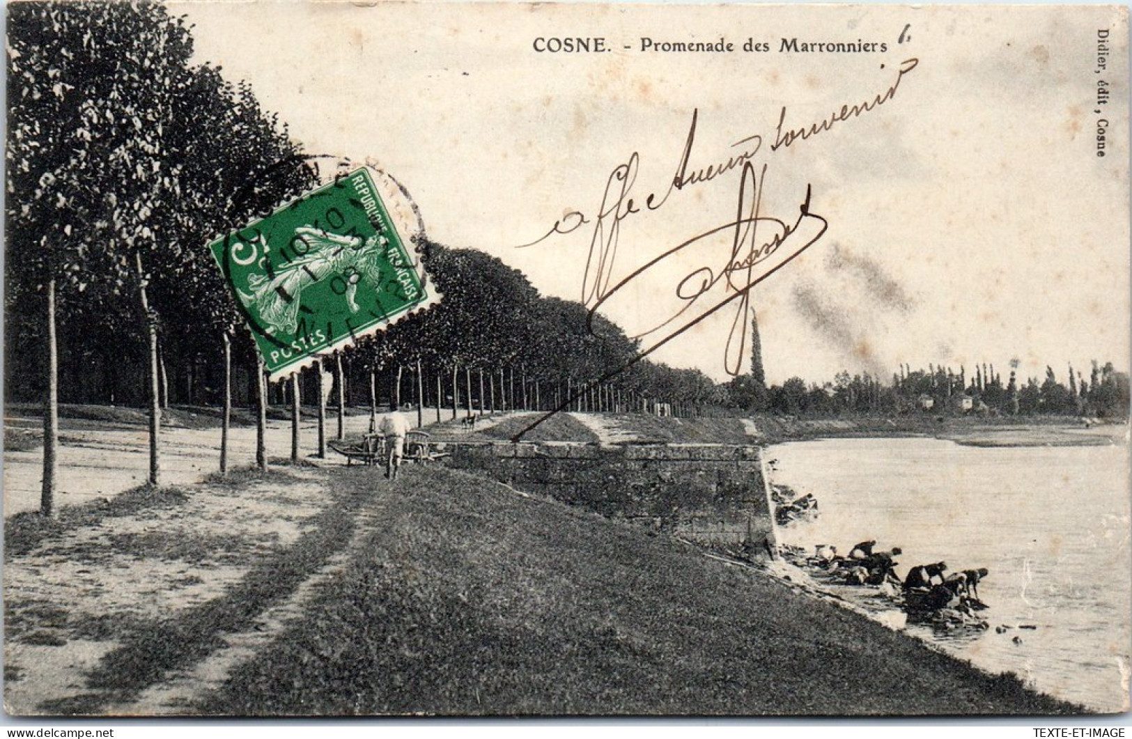 58 COSNE - La Promenade Des Marronniers. - Cosne Cours Sur Loire