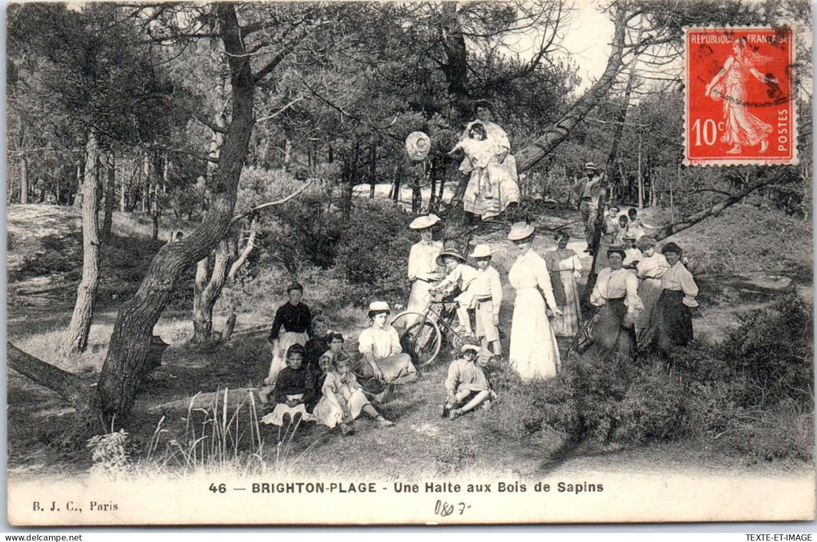 80 BRIGHTON PLAGE - Une Halte Aux Bois De Sapins  - Sonstige & Ohne Zuordnung