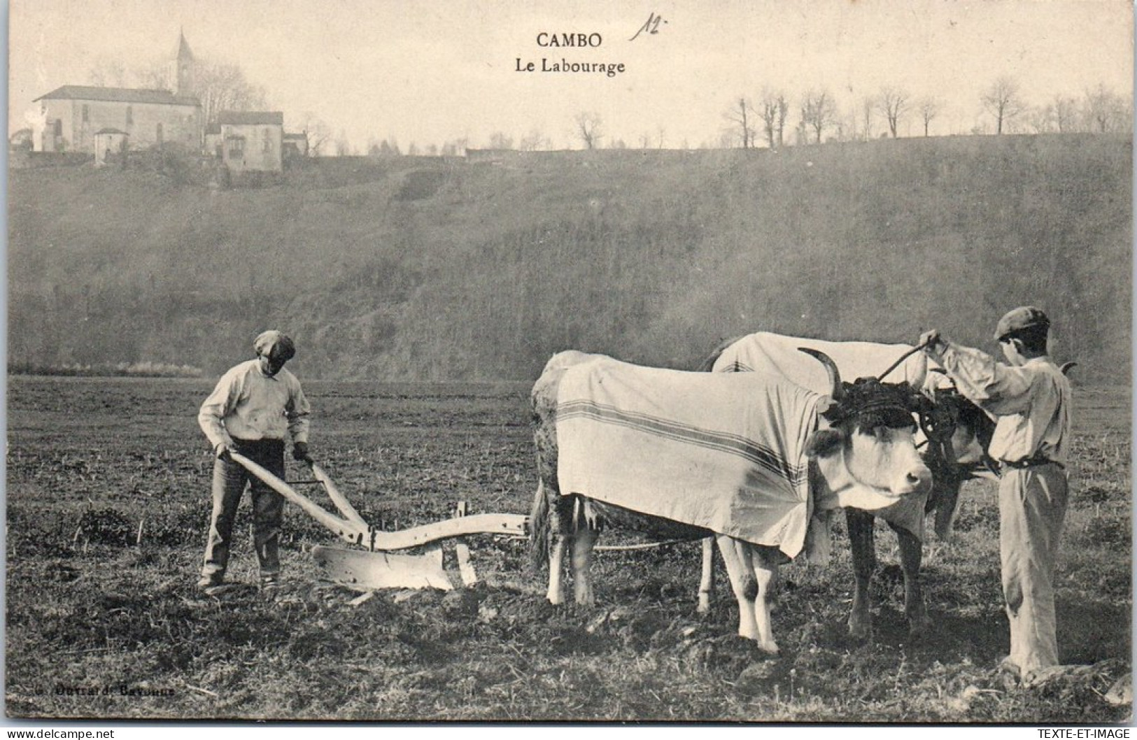 64 CAMBO - Scene De Labourage  - Cambo-les-Bains