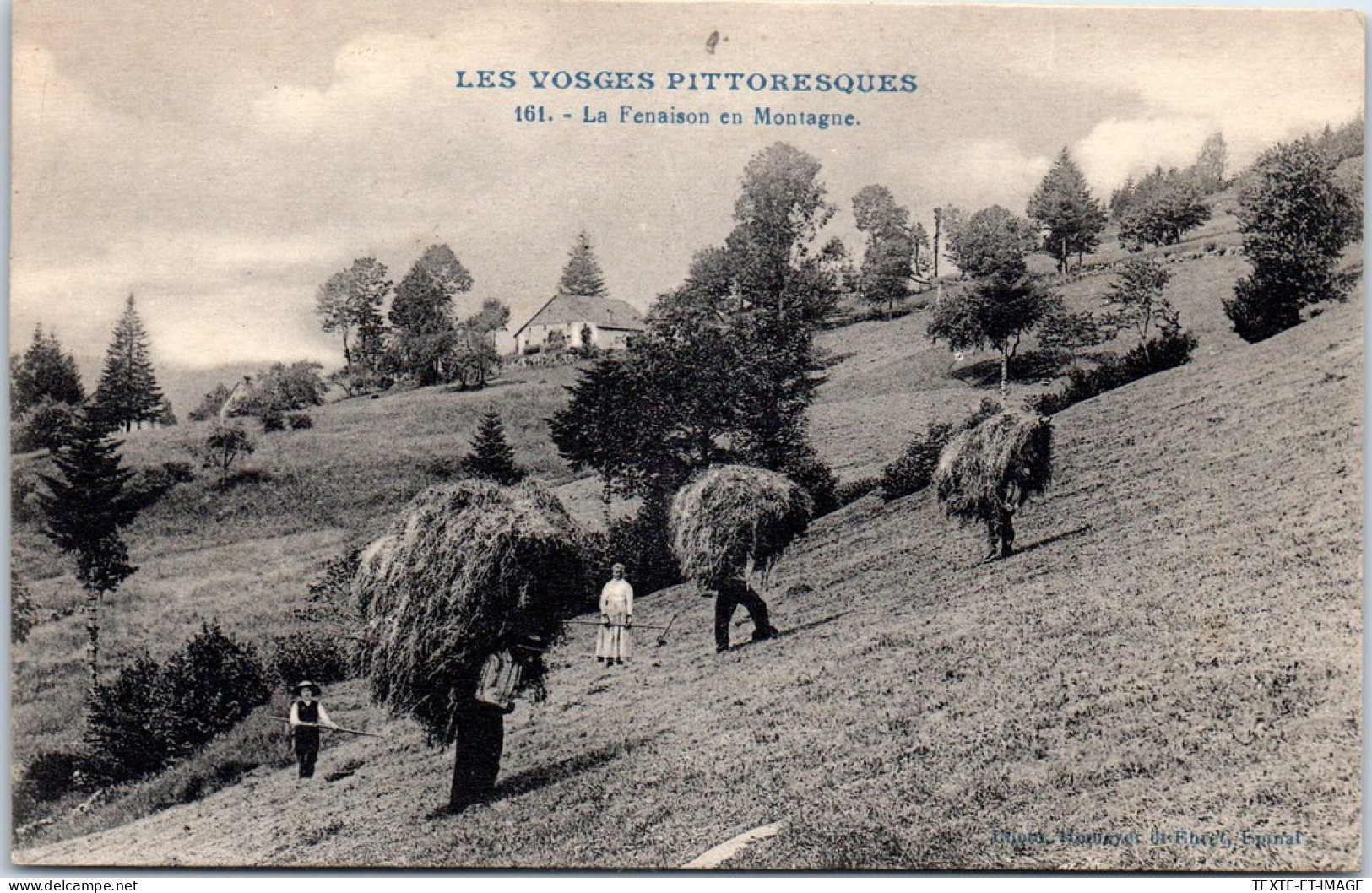 88 Les Vosges Pittoresques - La Fenaison En Montagne - Andere & Zonder Classificatie