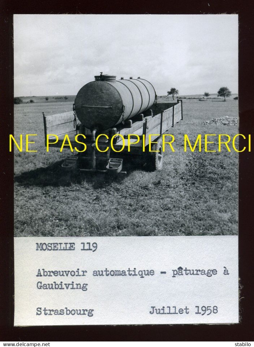 GAUBIVING (MOSELLE)- ABREUVOIR AUTOMATIQUE - JUIN 1958 - AGRICULTURE - Places